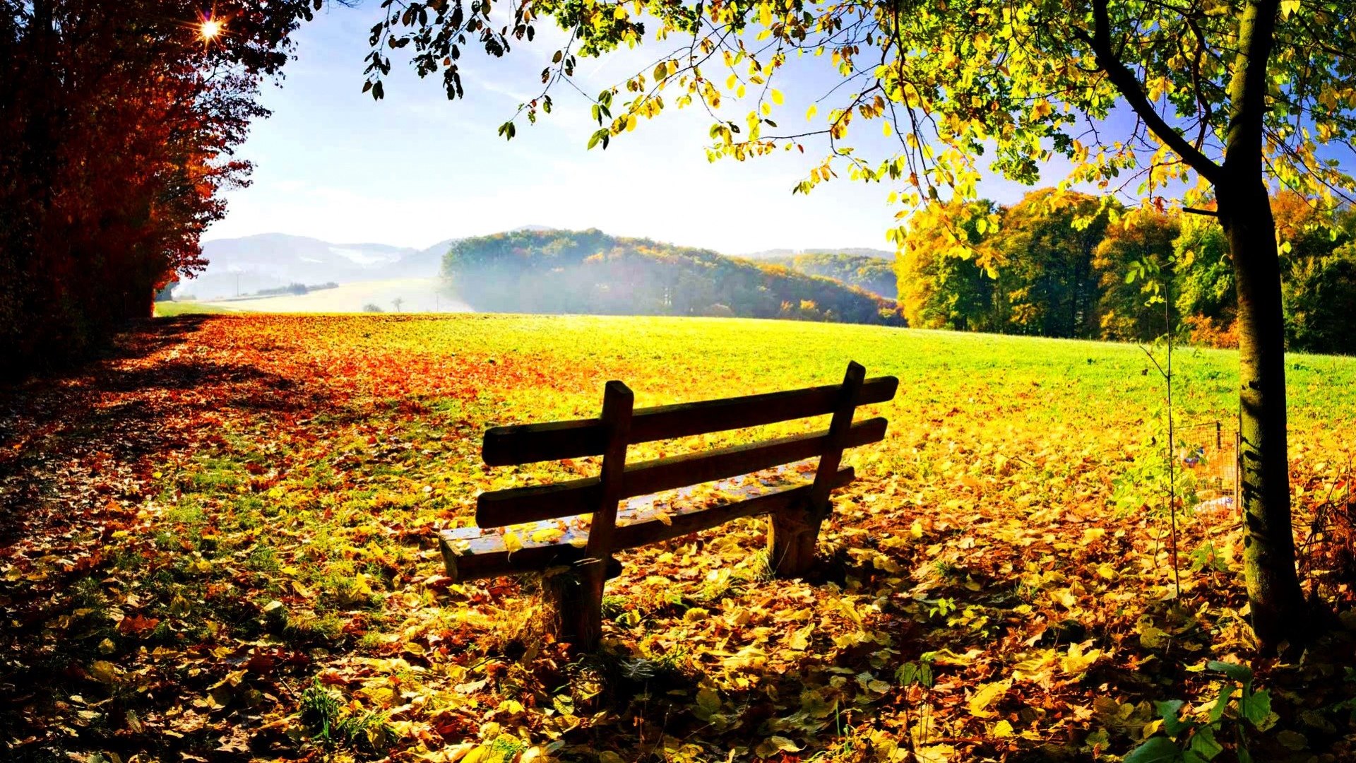 Wallpaper / autumn, lovely, seat, relax, bench, sunny, beautiful, trees, sky, clouds, mist, leaves, nice, rays, nature, branches