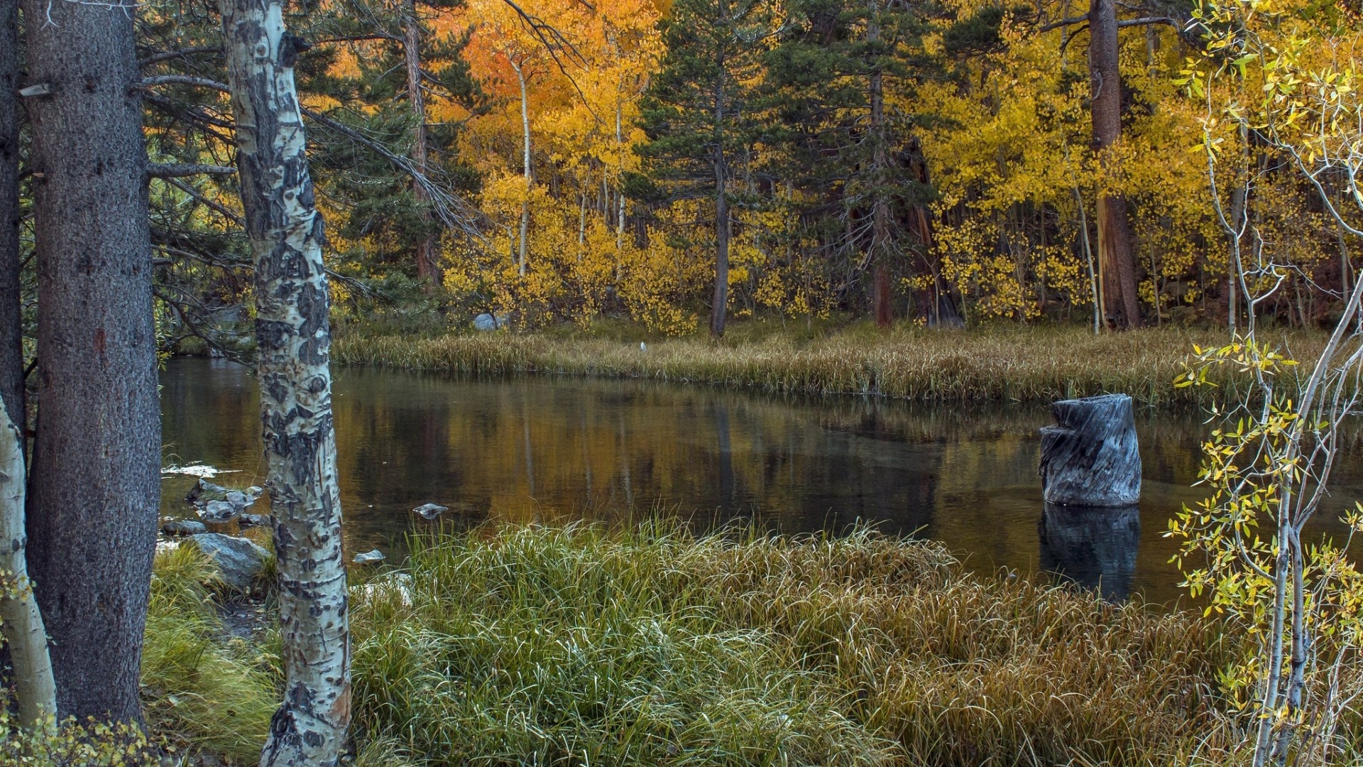 Full HD Relaxing Autumn Lake. Mocah HD Wallpaper