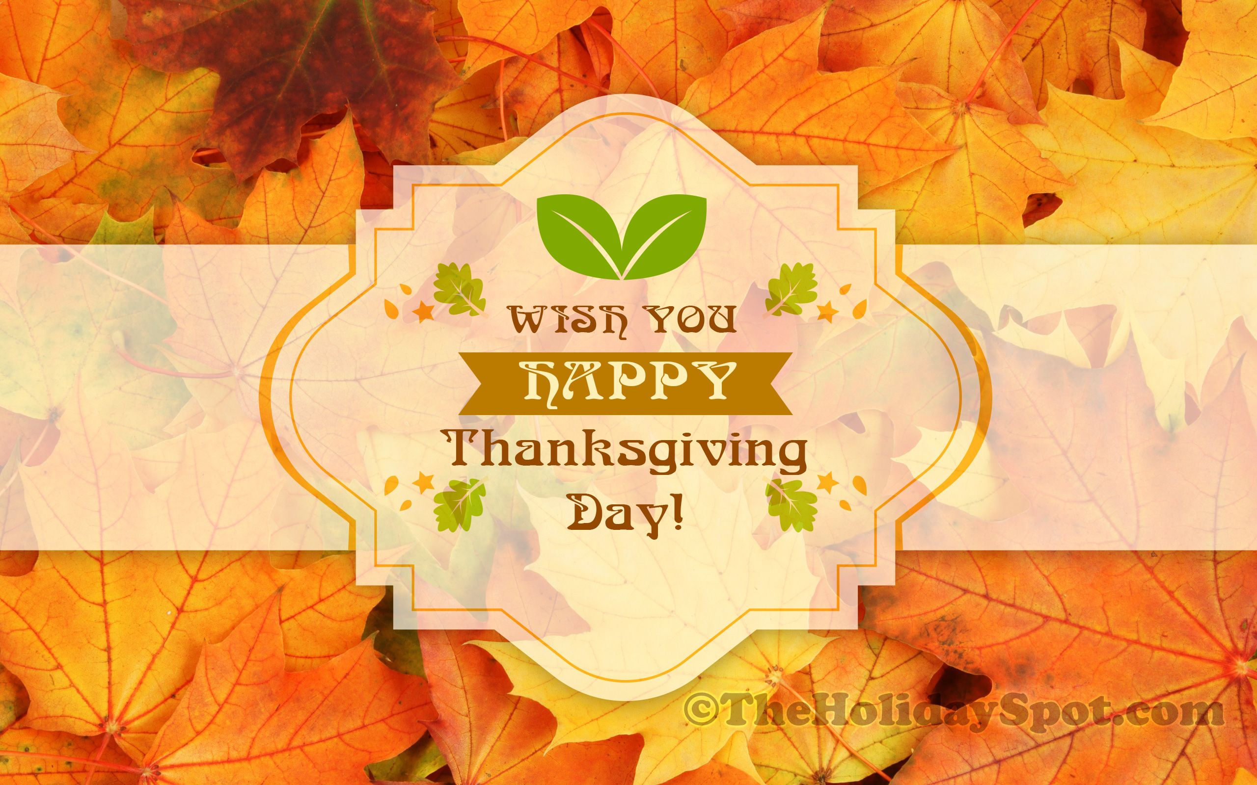 Thanksgiving Day Wallpaper