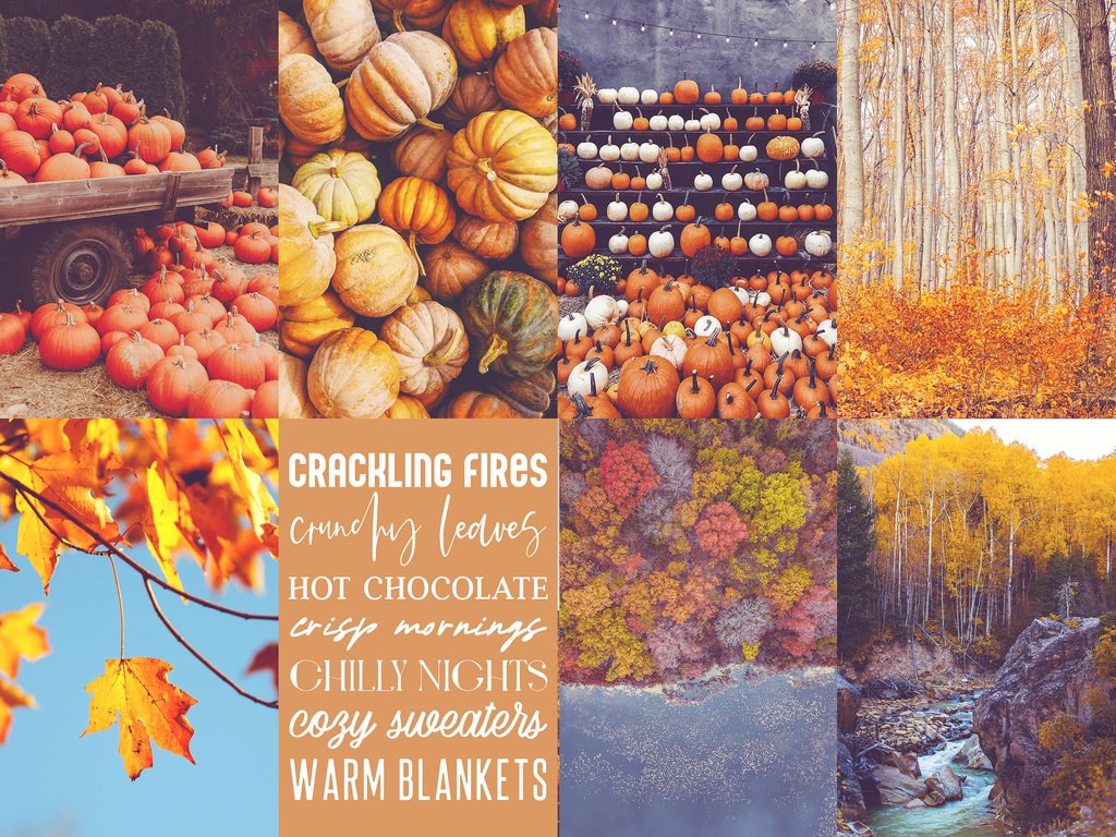 Thanksgiving Background Images  Browse 637562 Stock Photos Vectors and  Video  Adobe Stock