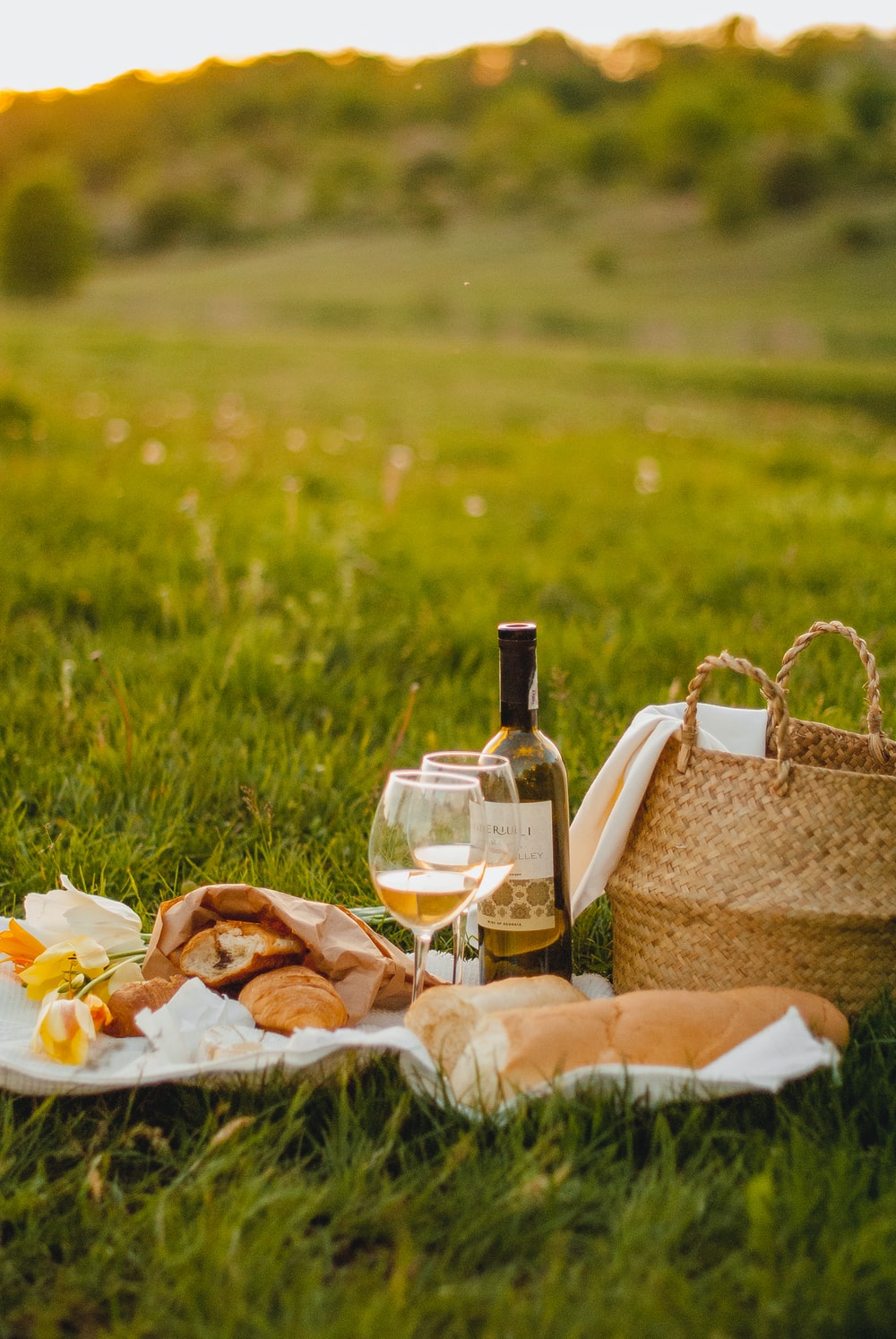 Picnic Picture. Download Free Image