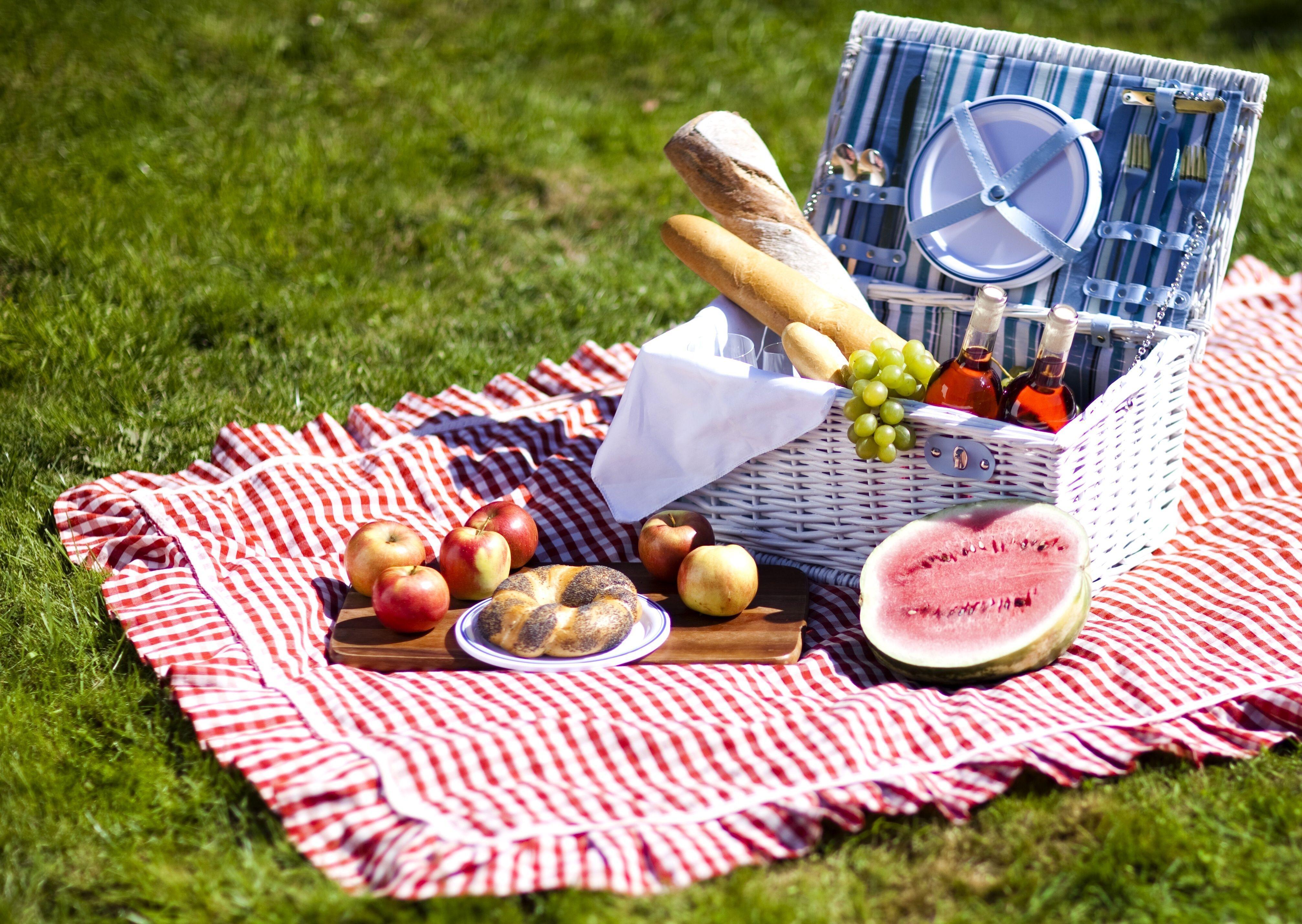 Picnic Wallpaper
