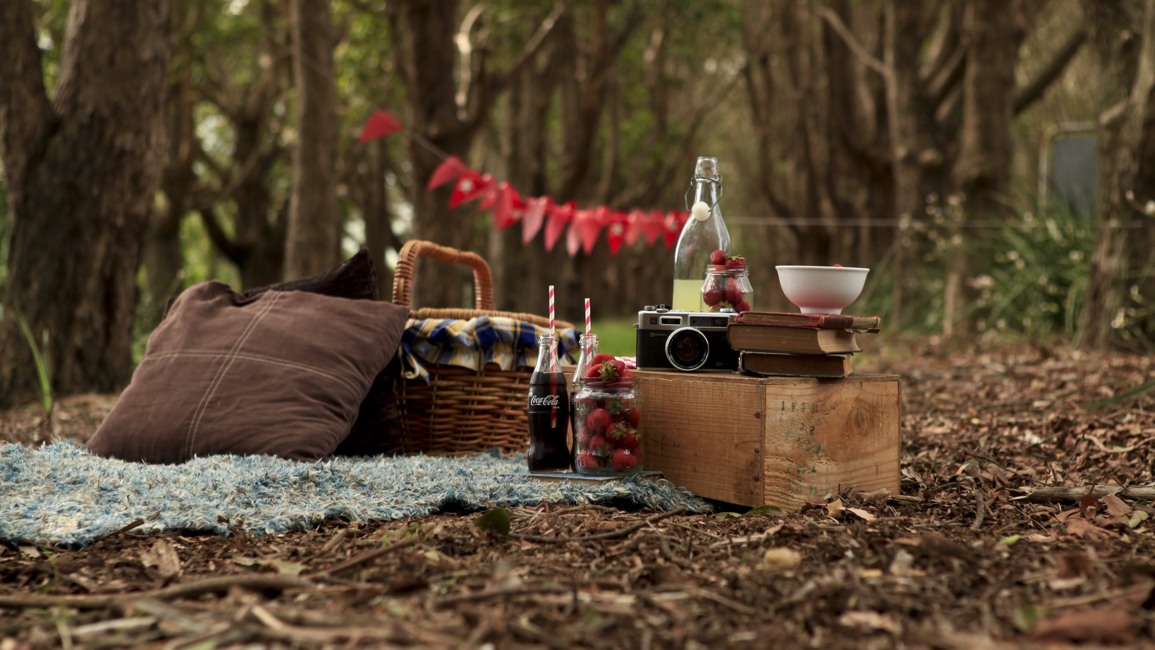 Picnic Wallpaper Hq