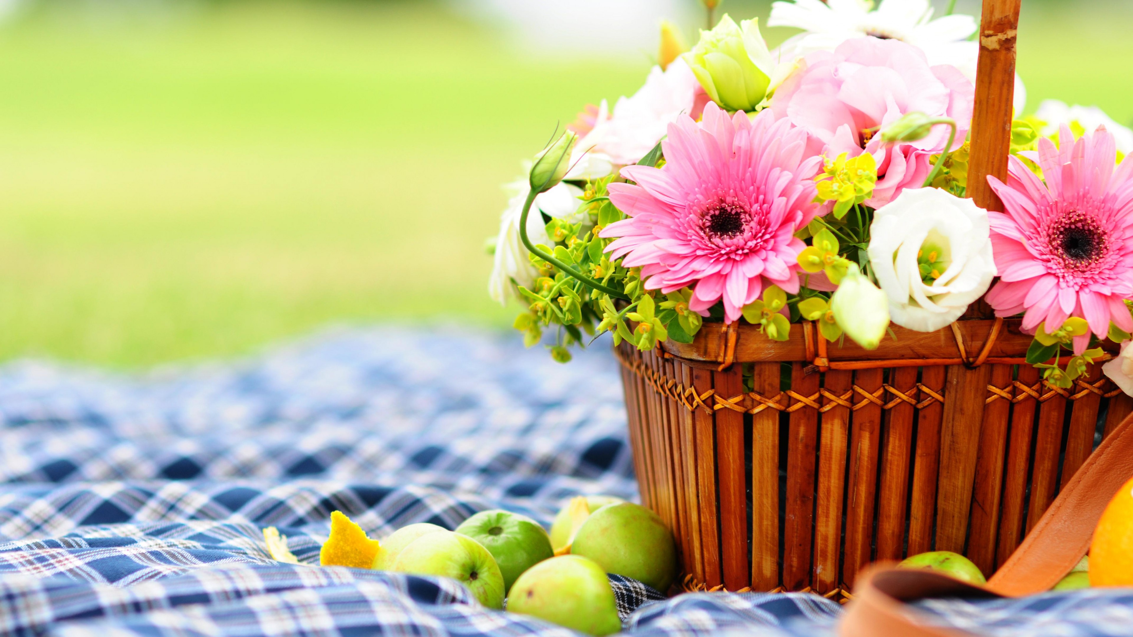 HD Wallpaper for theme: picnic HD wallpaper, background