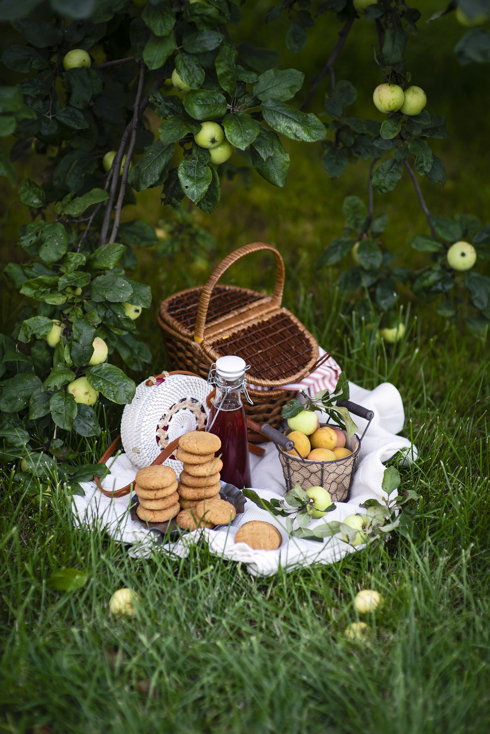 Wallpaper Picnic Apricot Apples Wicker basket Food Cookies bottles