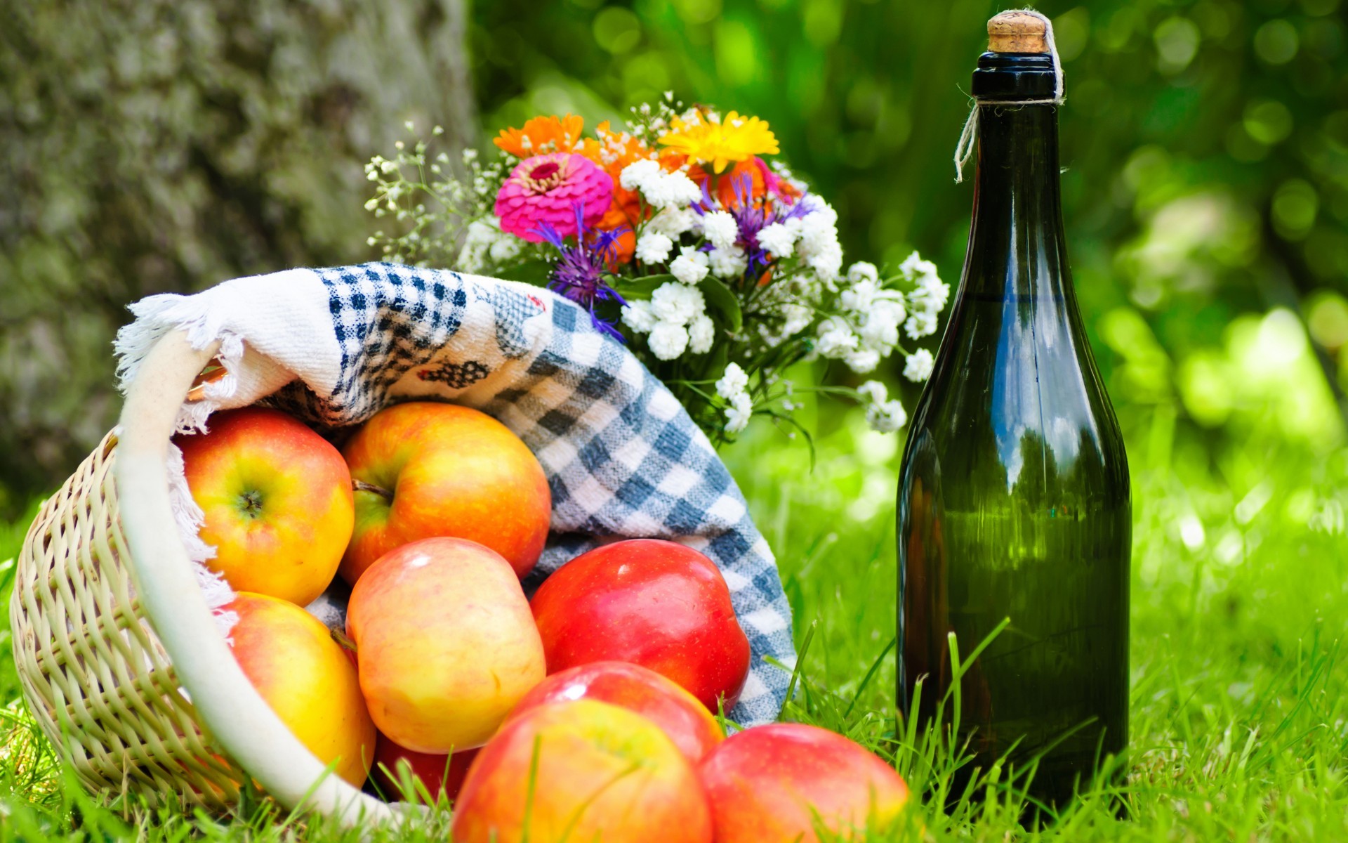 Wonderful Picnic Wallpaper 43261 Data Src Fruit Basket Of Apples And Wine HD Wallpaper