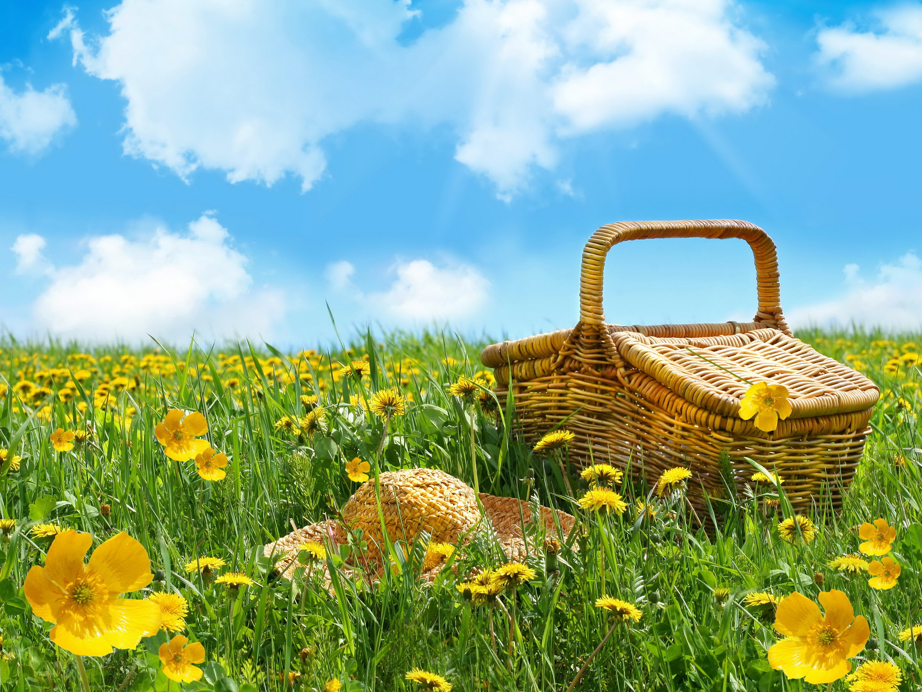 picnic desktop nexus wallpaper 3200x2400