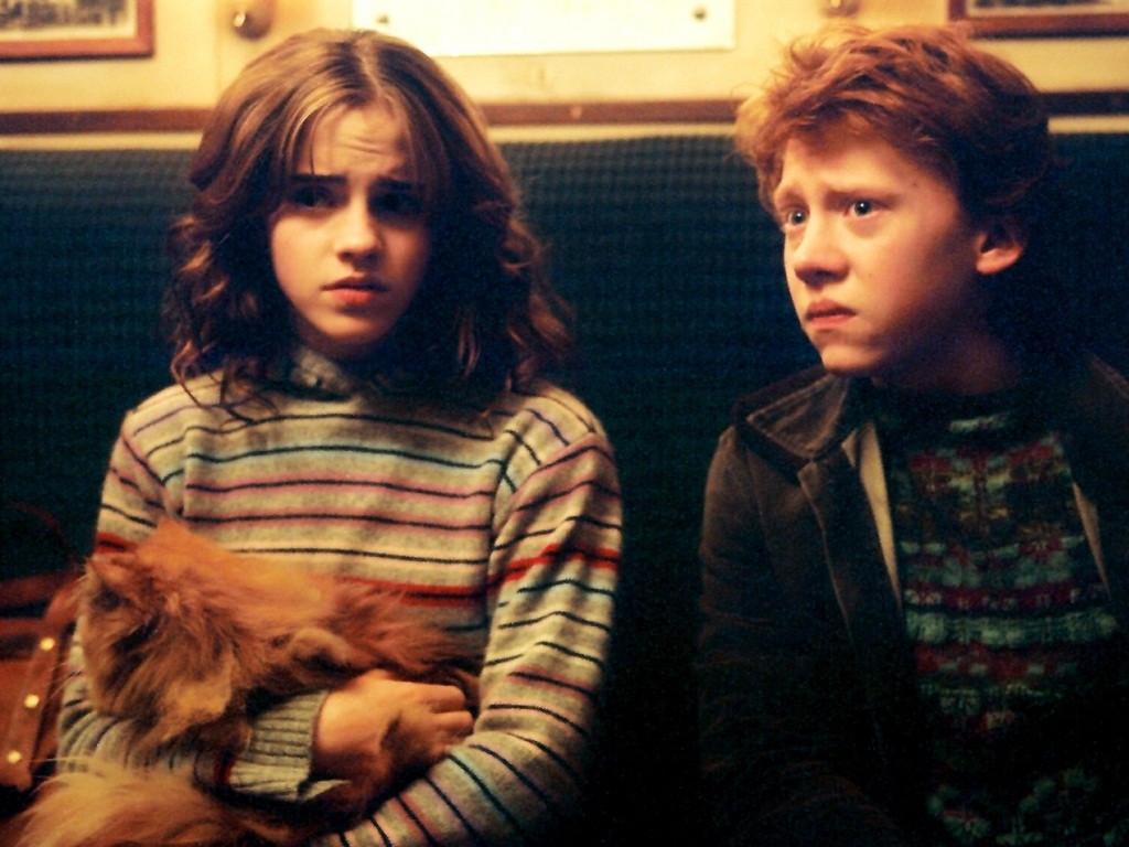 Ron and Hermione Wallpapers