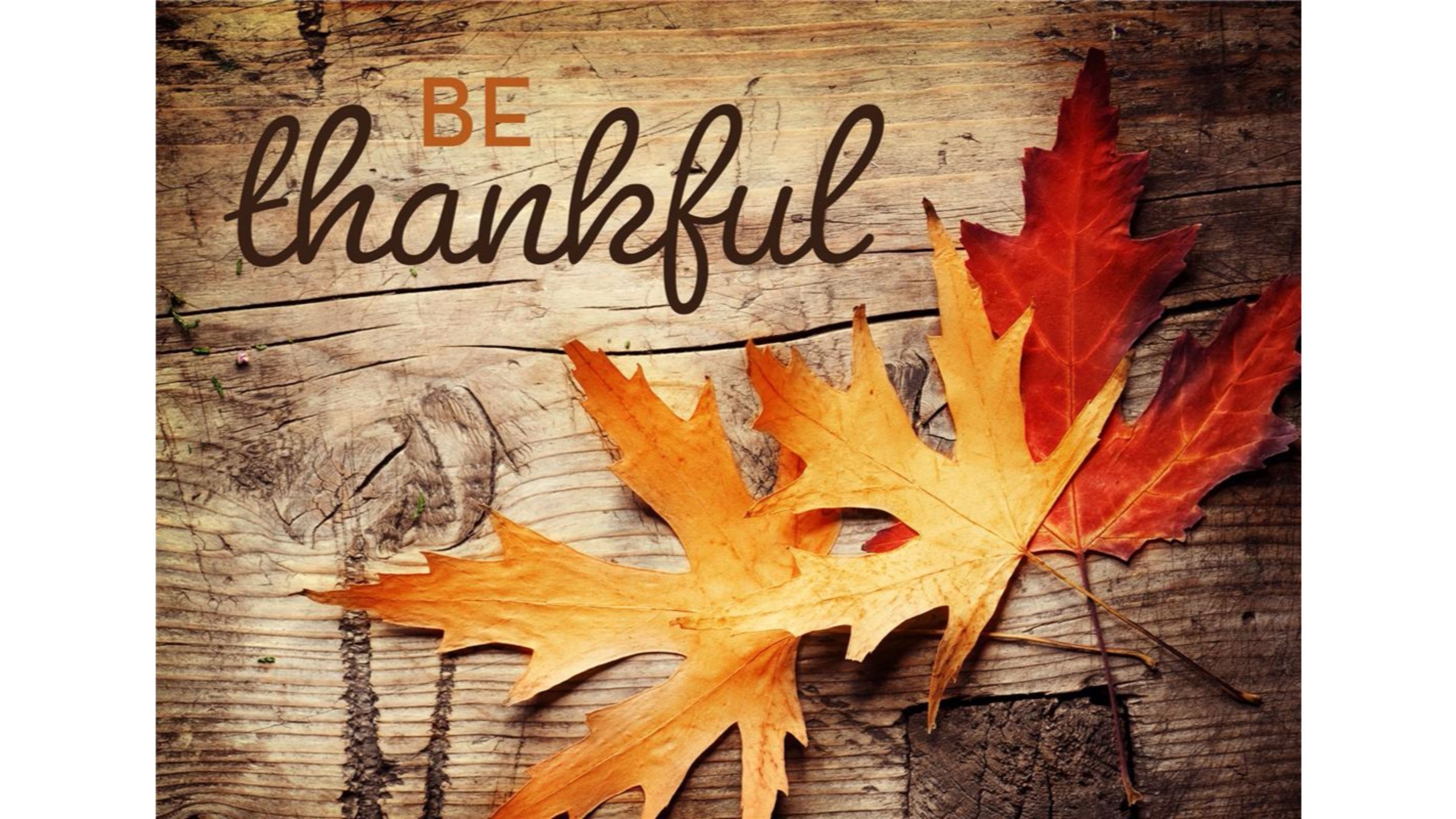 Thanksgiving Wallpaper for Computer