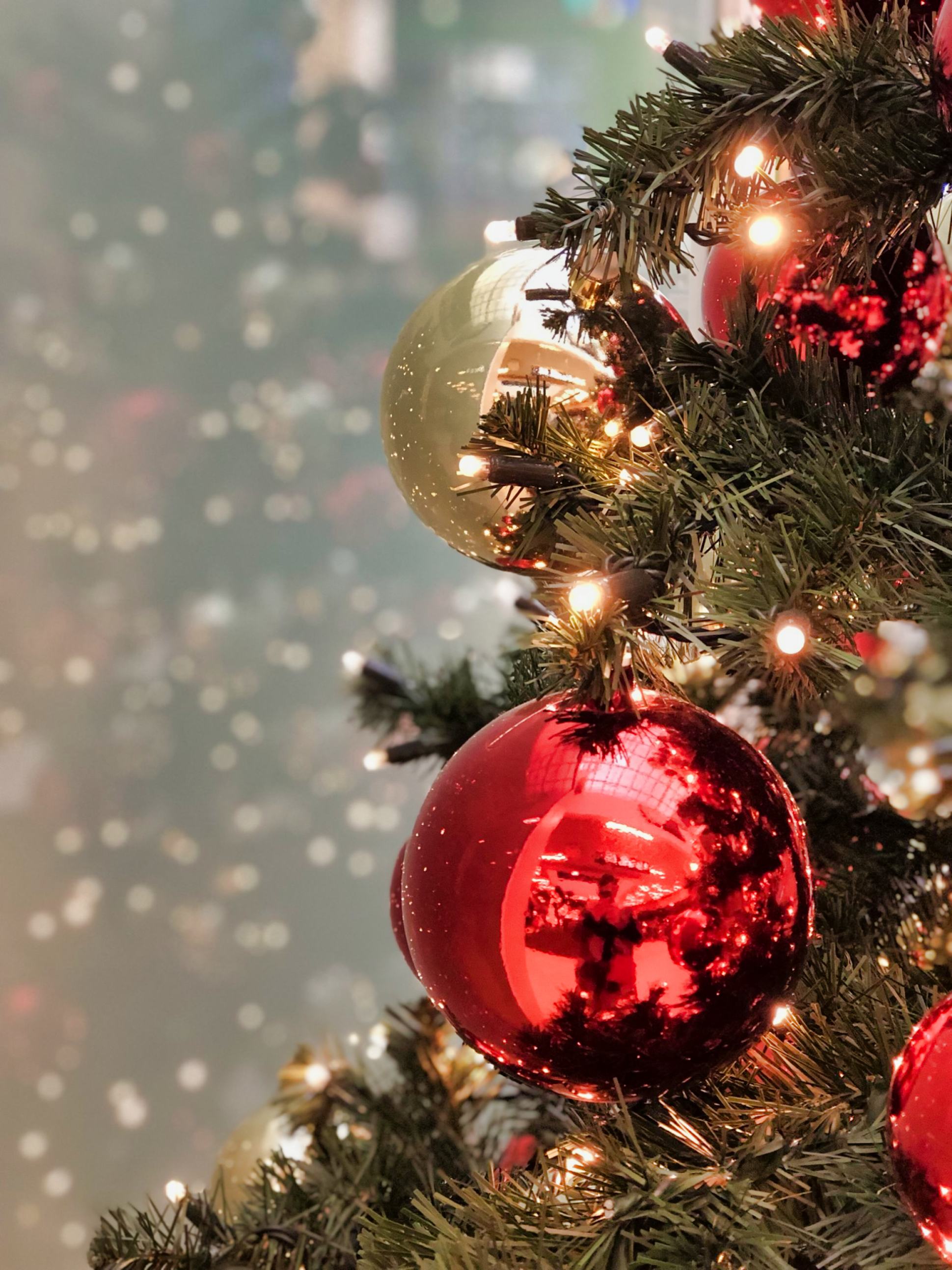 Find free photo of christmas tree from Wunderstock and explore similar free for any use