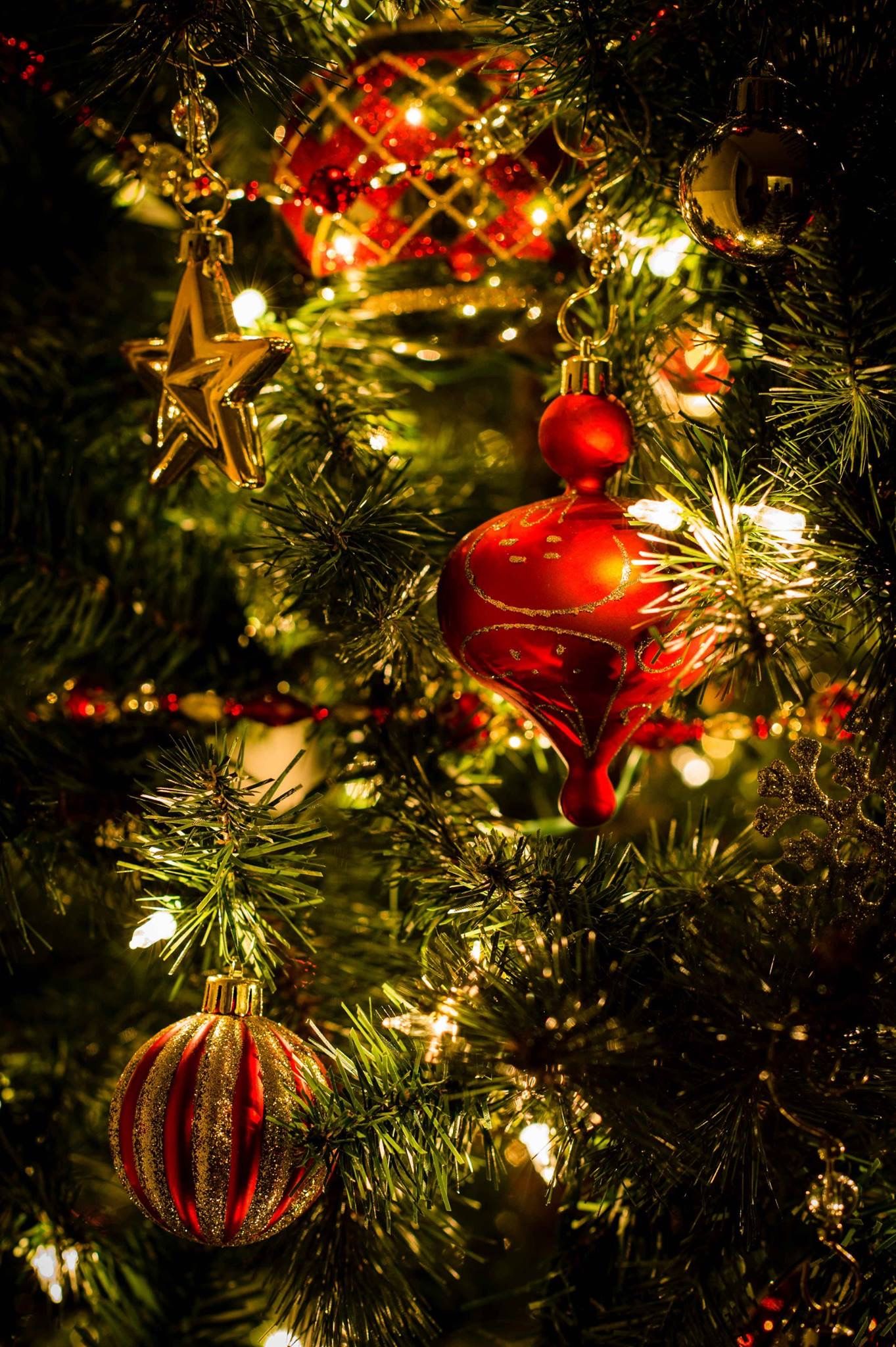 Christmas. Merry christmas picture, Christmas spirit, Christmas picture beautiful