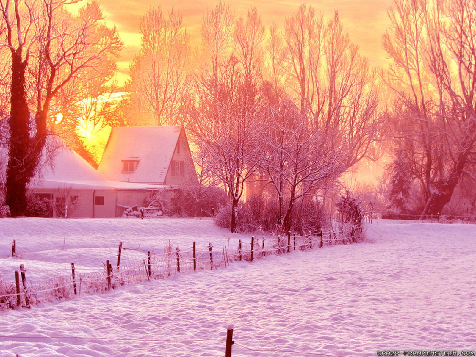 Pink Winter Wallpaper Free Pink Winter Background