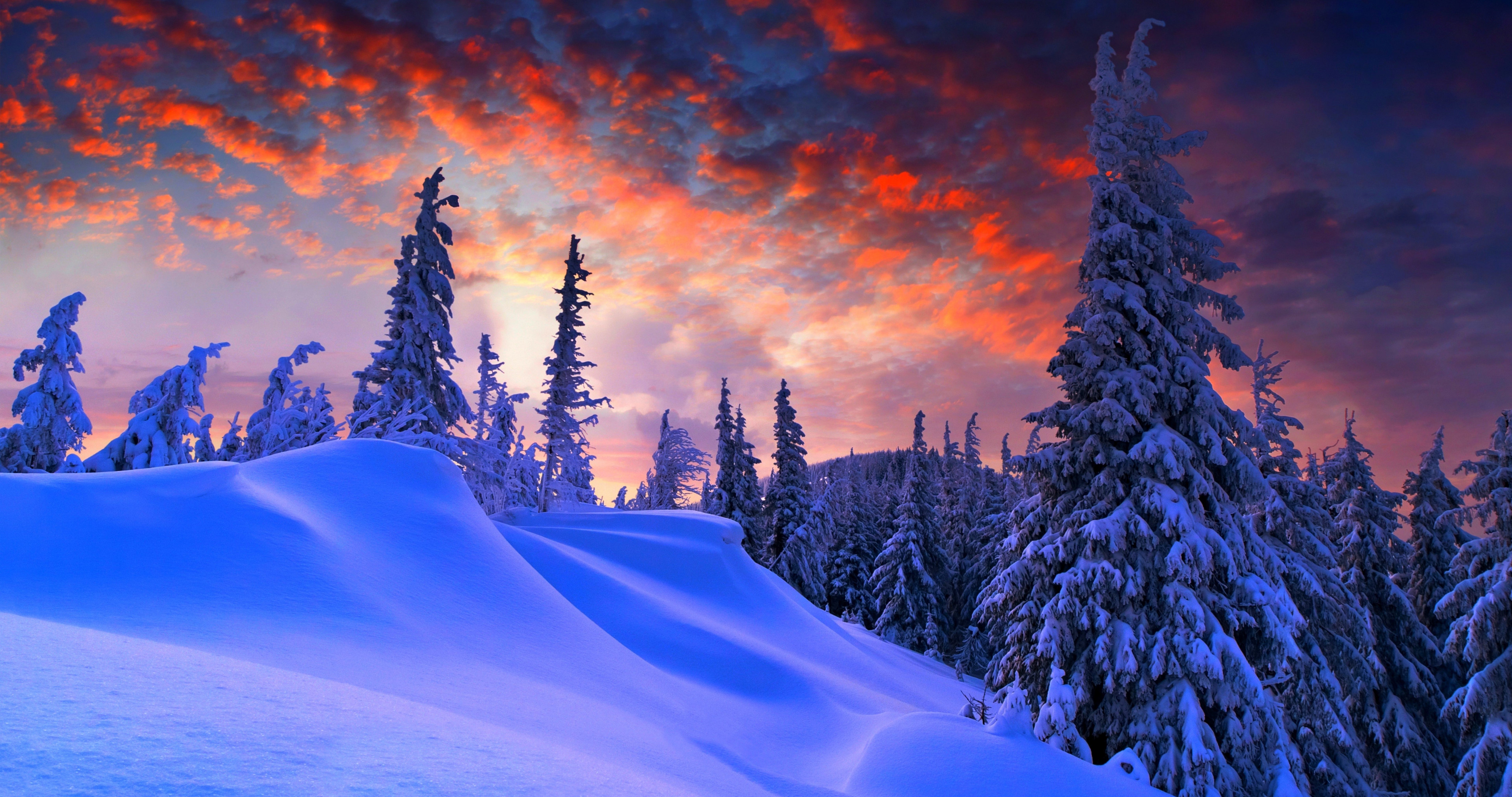 Beautiful Pink Sunset in Winter Snowed Forest 4096x2160 4K