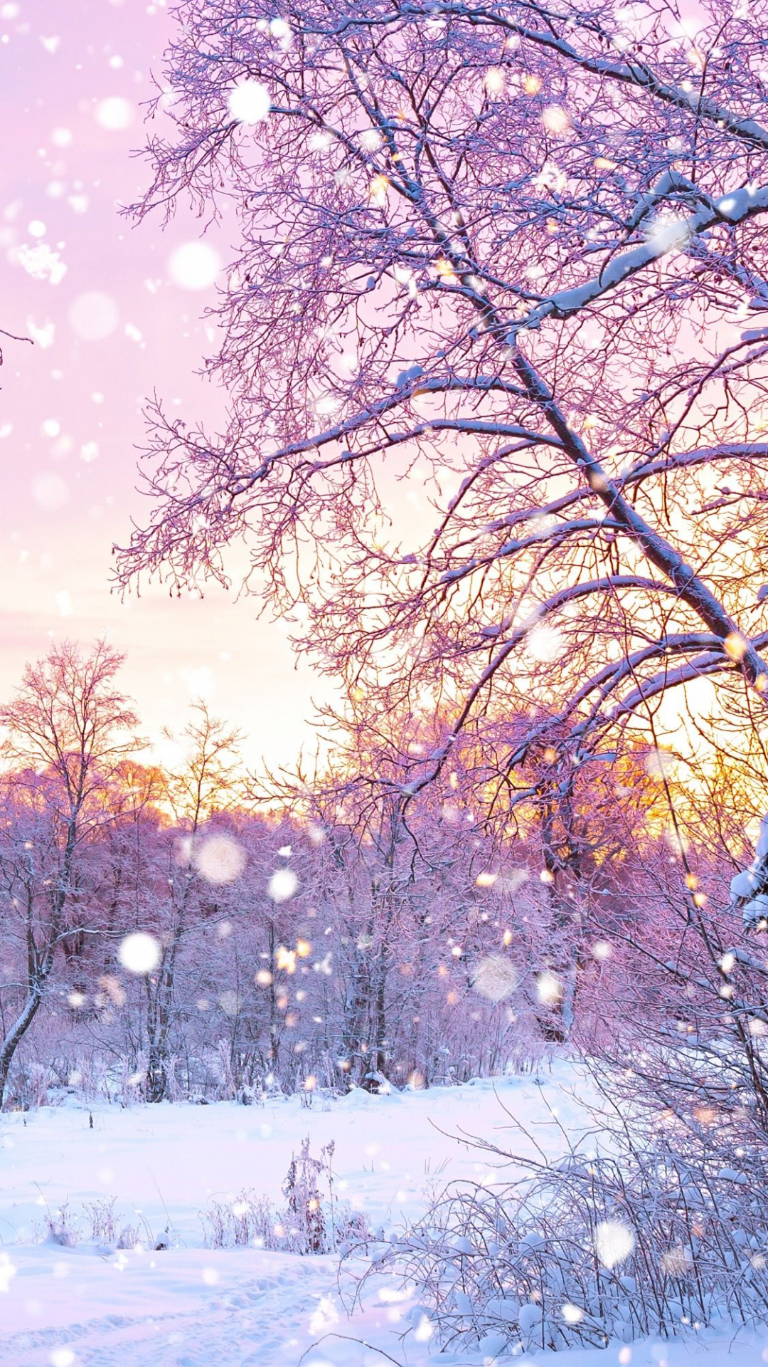 Free download Snow iPhone wallpaper Nature wallpaper Winter wallpaper [1125x2436] for your Desktop, Mobile & Tablet. Explore Cute Winter iPhone Wallpaper. Cute Winter Wallpaper, Cute Winter Background, Cute Winter Desktop Wallpaper
