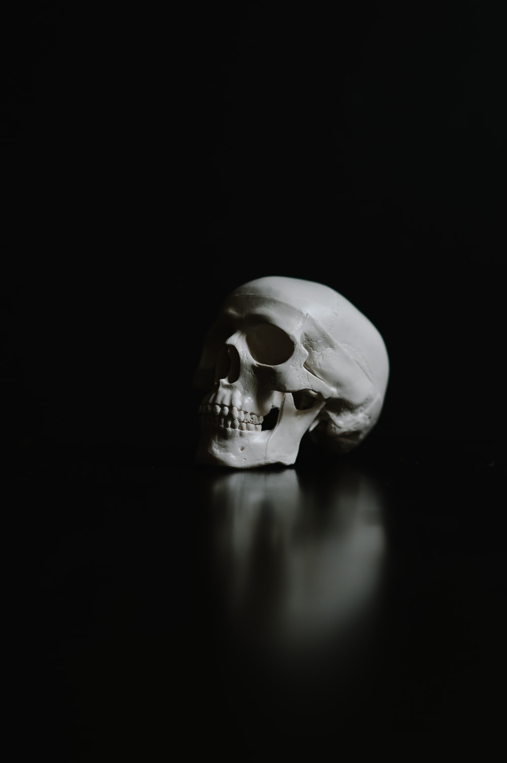 Skull Background Image: Download HD Background