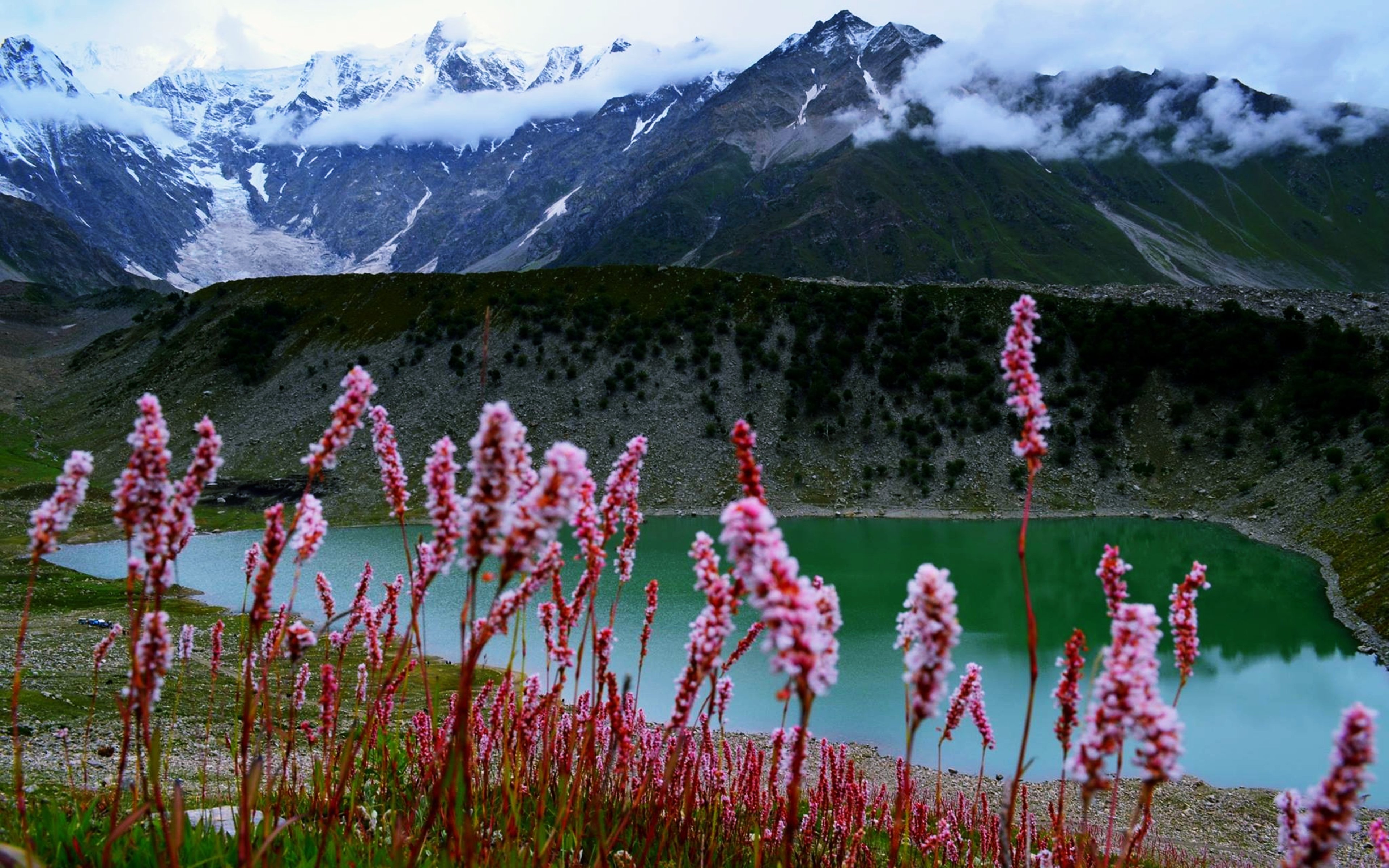 pakistan, Lake, Flower, Nature, Hill, Mountain, Earth, Landscape Wallpaper HD / Desktop and Mobile Background