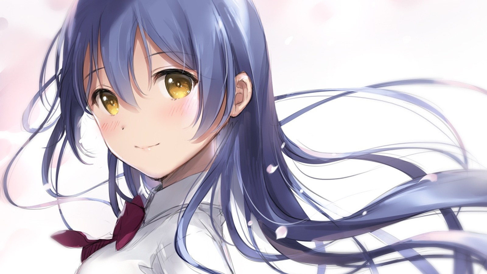 Download 1600x900 Sonoda Umi, Love Live, Long Hair, Petals Wallpaper