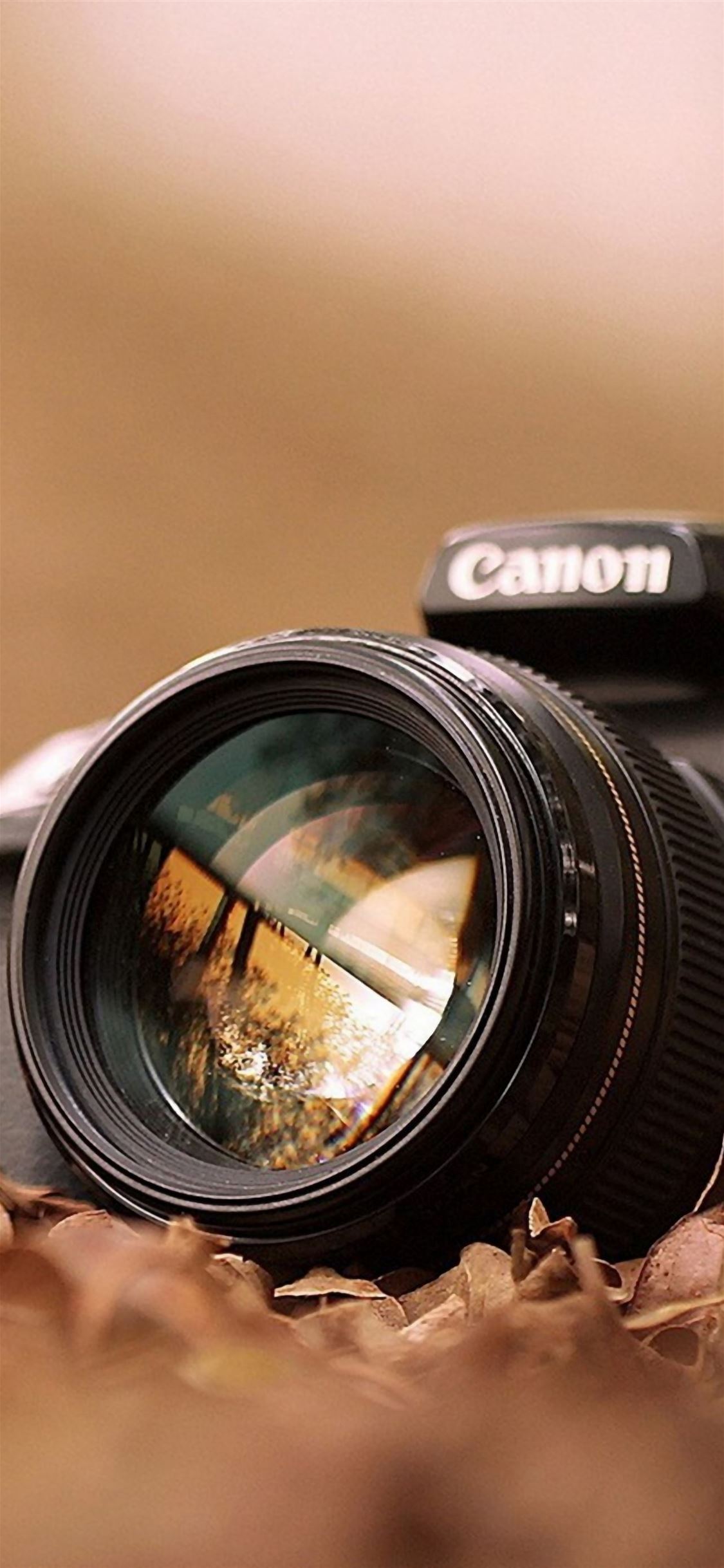 Canon Camera Macro Fall Leaves iPhone Wallpaper Free Download