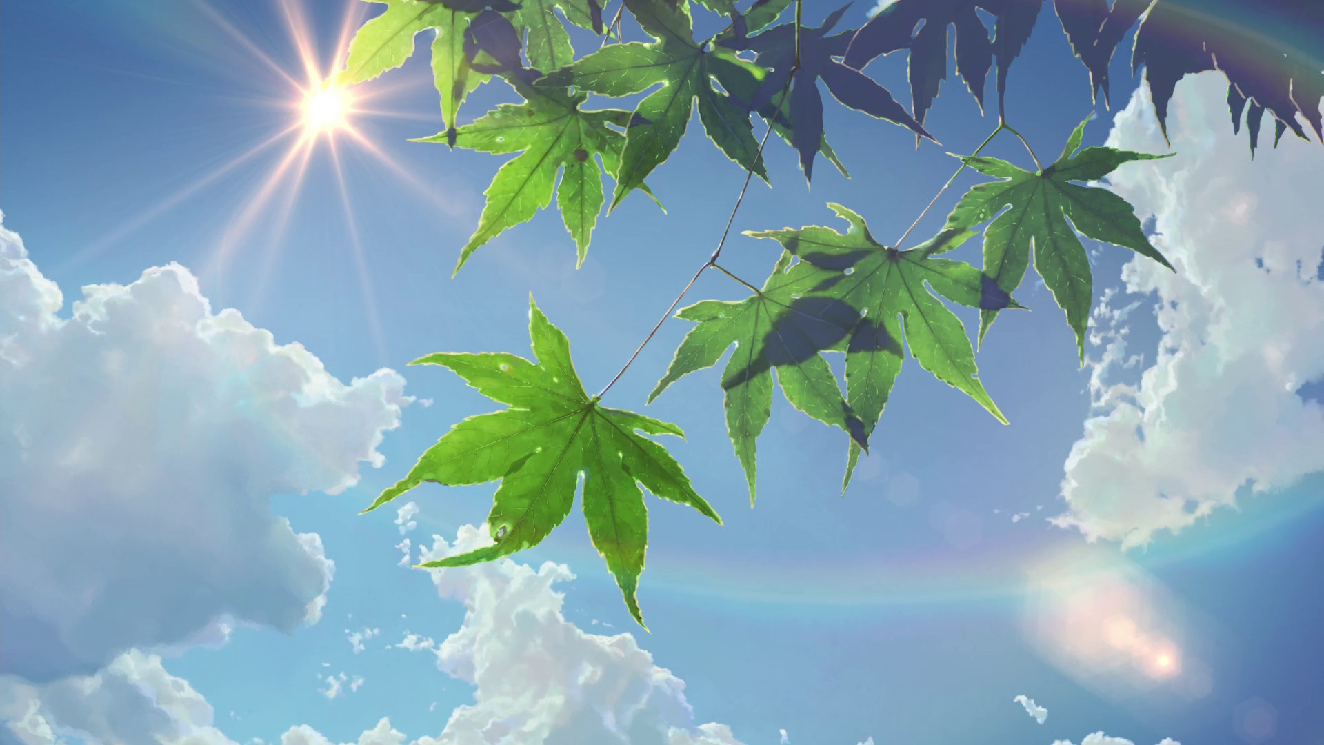 Kotonoha No Niwa The Garden Of Words Makoto Shinkai, Sky, Foliage, Clouds, Rays of light. Mocah HD Wallpaper