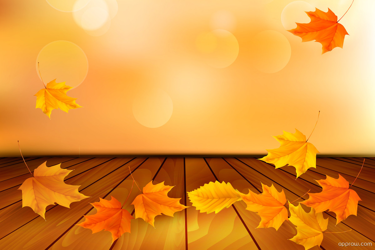 Vector Autumn Wallpapers - Wallpaper Cave