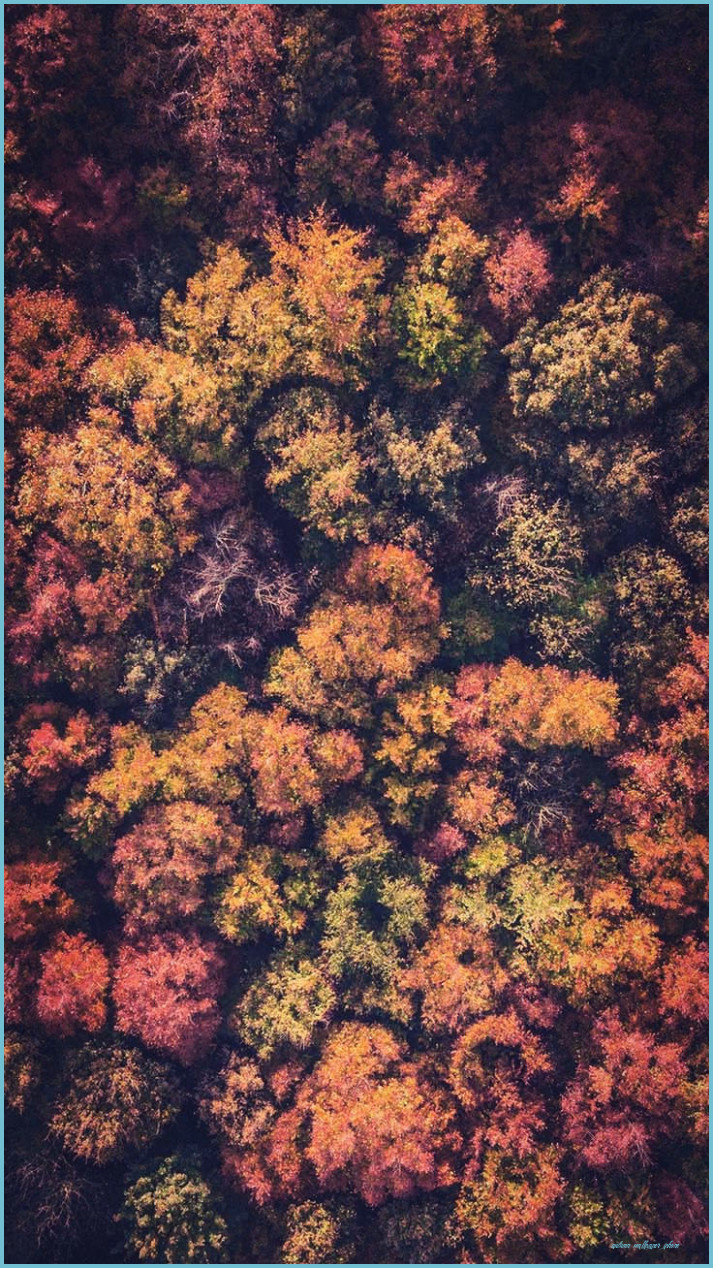 Thanksgiving Preppy Wallpapers - Wallpaper Cave