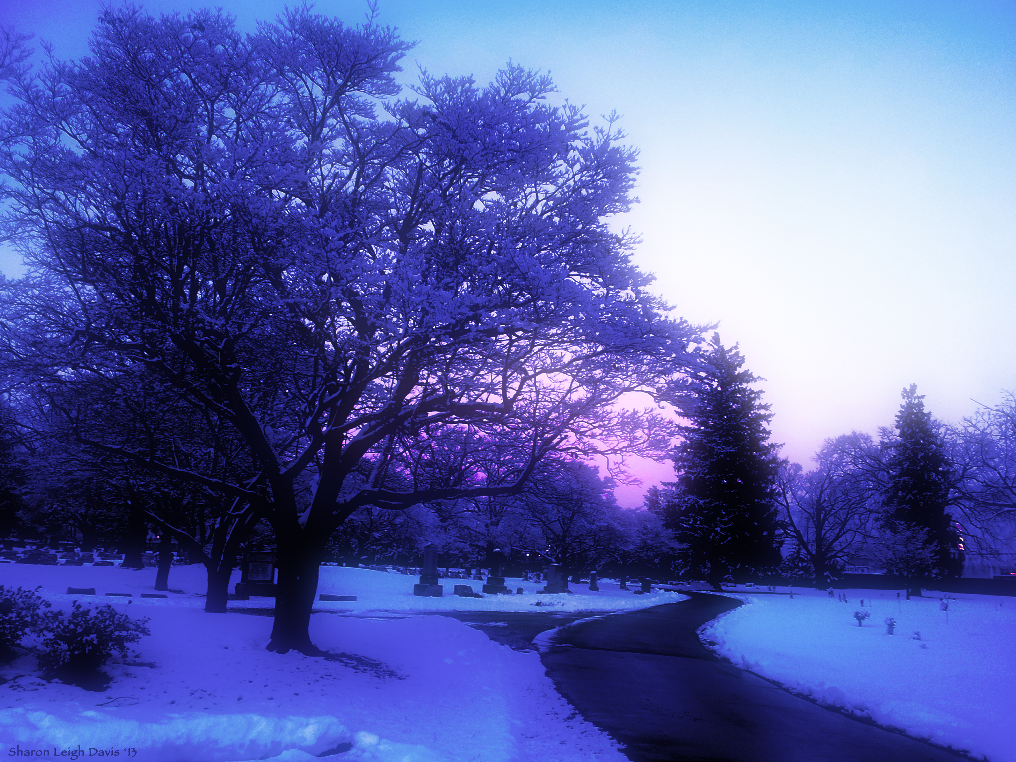 Wallpaper, sunlight, trees, landscape, sunset, nature, sky, snow, winter, purple, branch, blue, ice, evening, morning, mist, frost, lavender, cemetery, dusk, path, Freezing, light, tree, dawn, daytime, computer wallpaper, atmosphere of earth