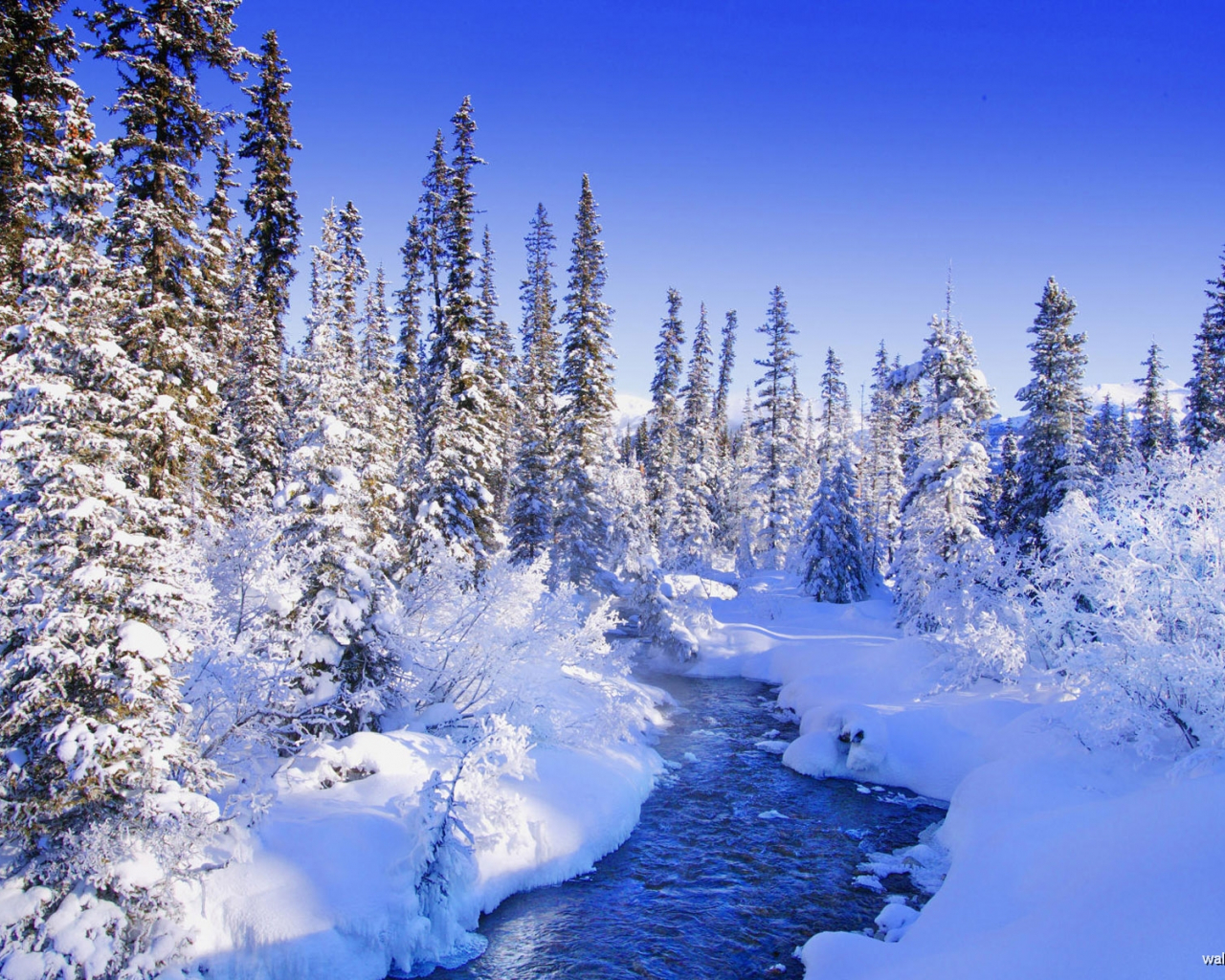 Free download wallpapercomwallpaperphotography comsnow scenes [1920x1200] for your Desktop, Mobile & Tablet. Explore Beautiful Winter Scenes Desktop Wallpaper. Free Winter Scene Wallpaper, Free Winter Snow Scenes Wallpaper, Free