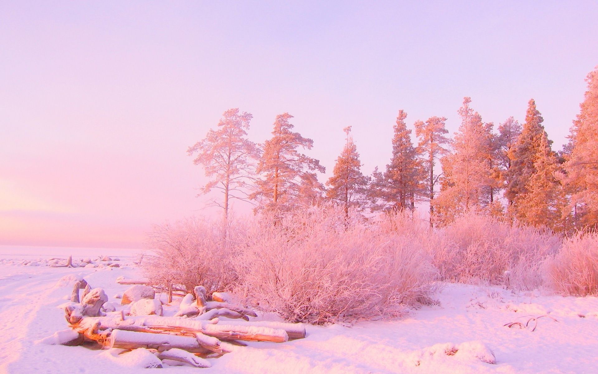 pc wallpapers tumblr,winter,sky,pink,snow,natural landscape