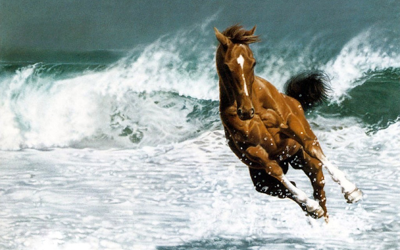 Pretty Horse wallpaperx800