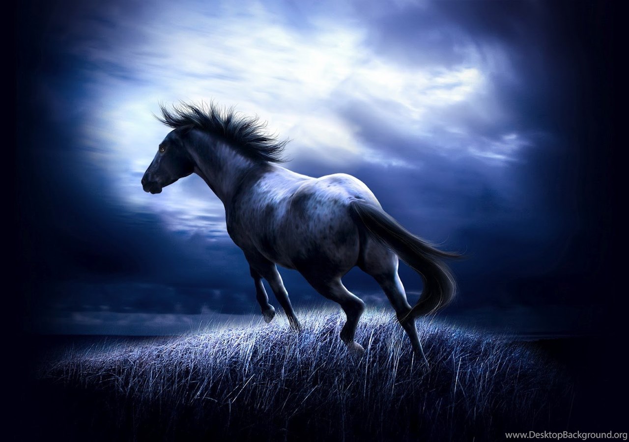 Animal Zone Beautiful Horses HD Wallpaper HD Horse Wallpaper. Desktop Background