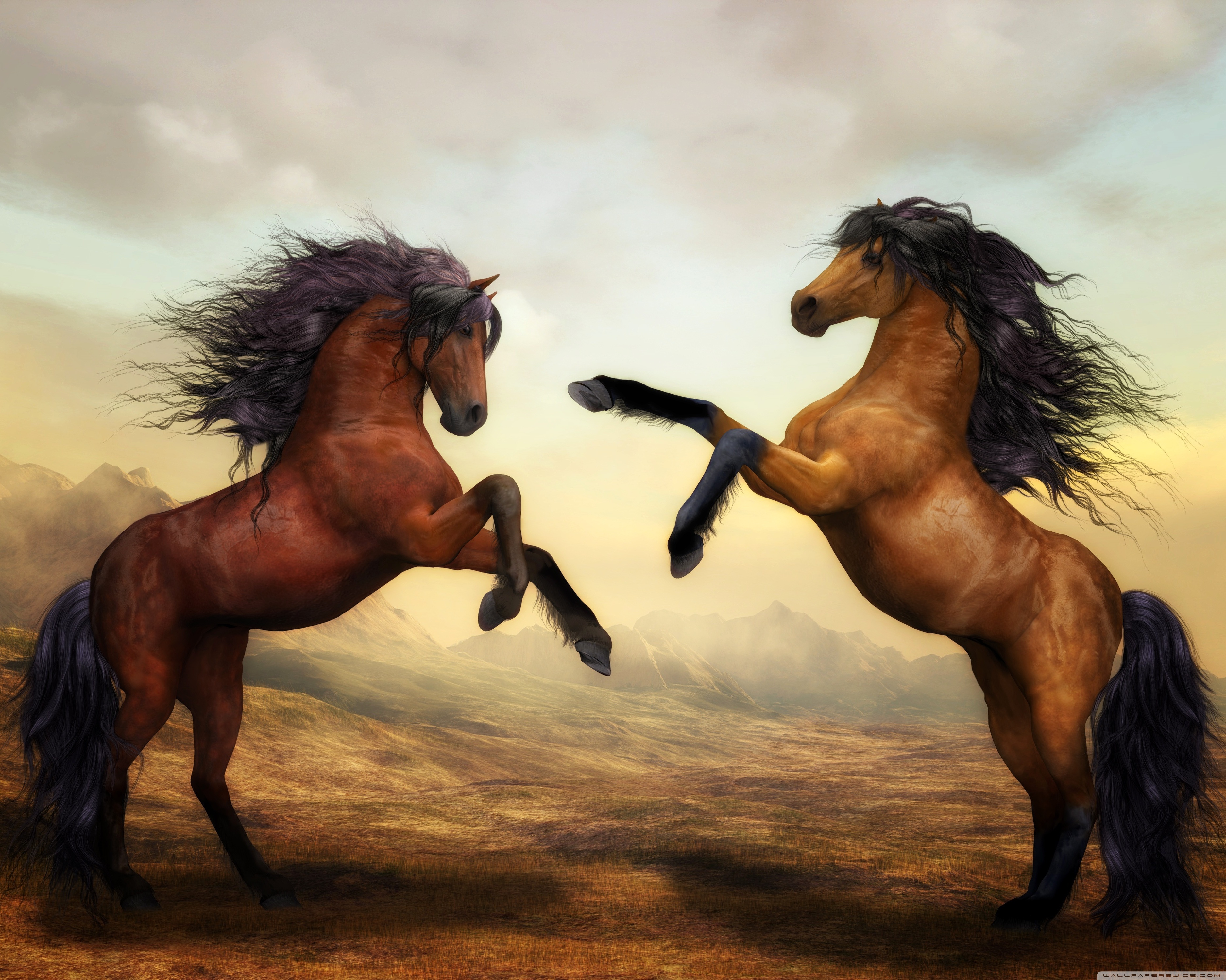 Two Beautiful Horses Fighting Ultra HD Desktop Background Wallpaper for 4K UHD TV, Widescreen & UltraWide Desktop & Laptop, Multi Display, Dual Monitor, Tablet