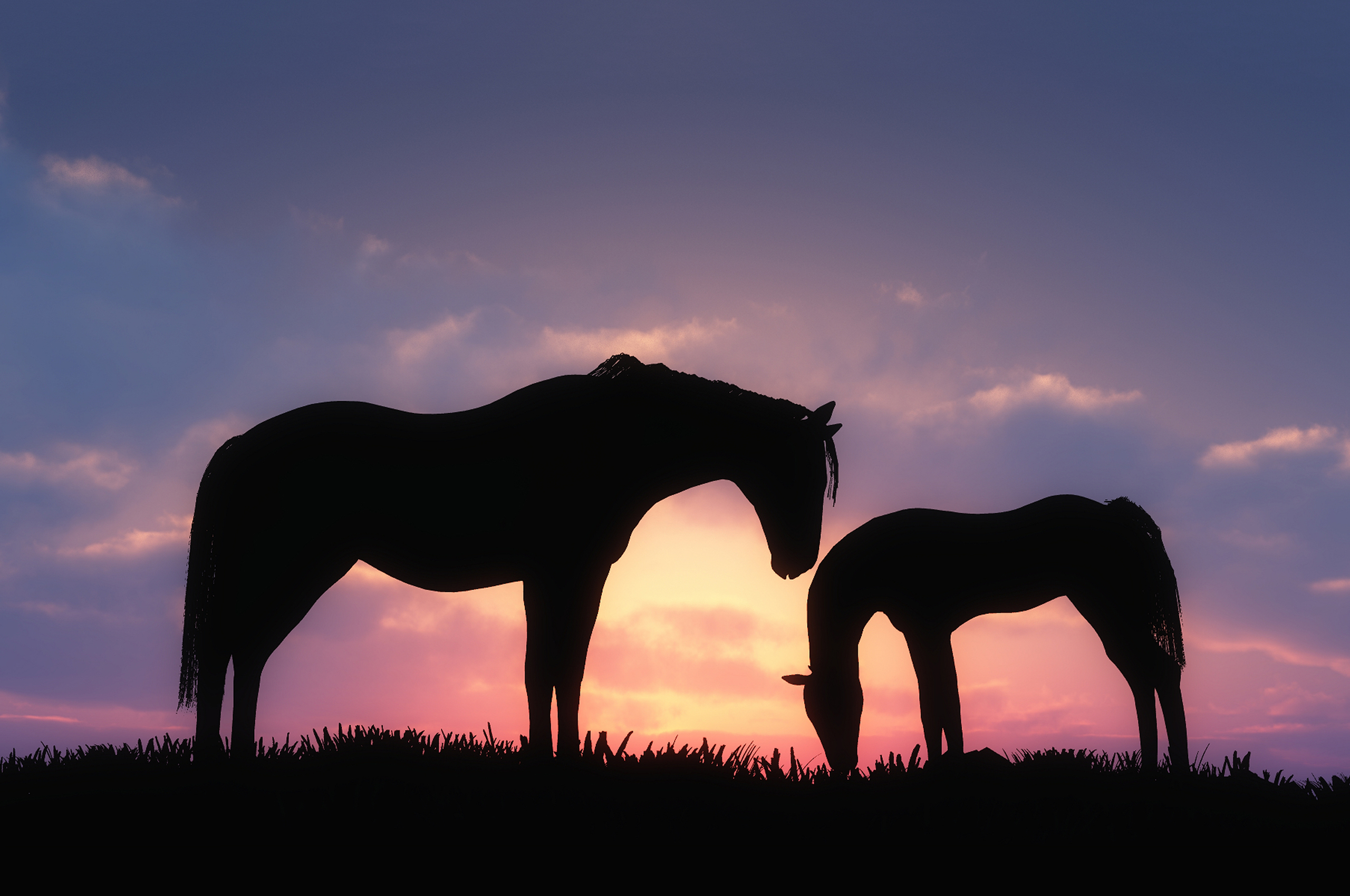 Cute Horses Wallpaper