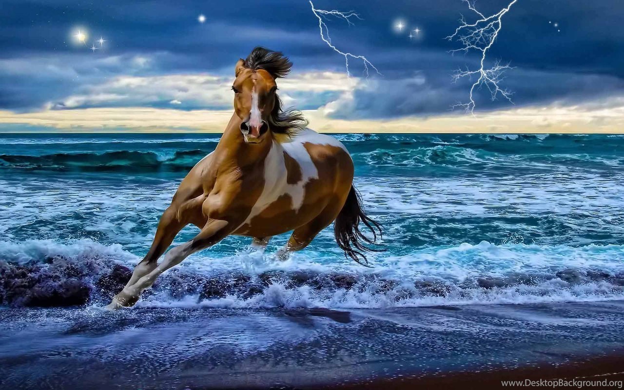 Animal Zone Beautiful Horses HD Wallpaper HD Horse Wallpaper. Desktop Background