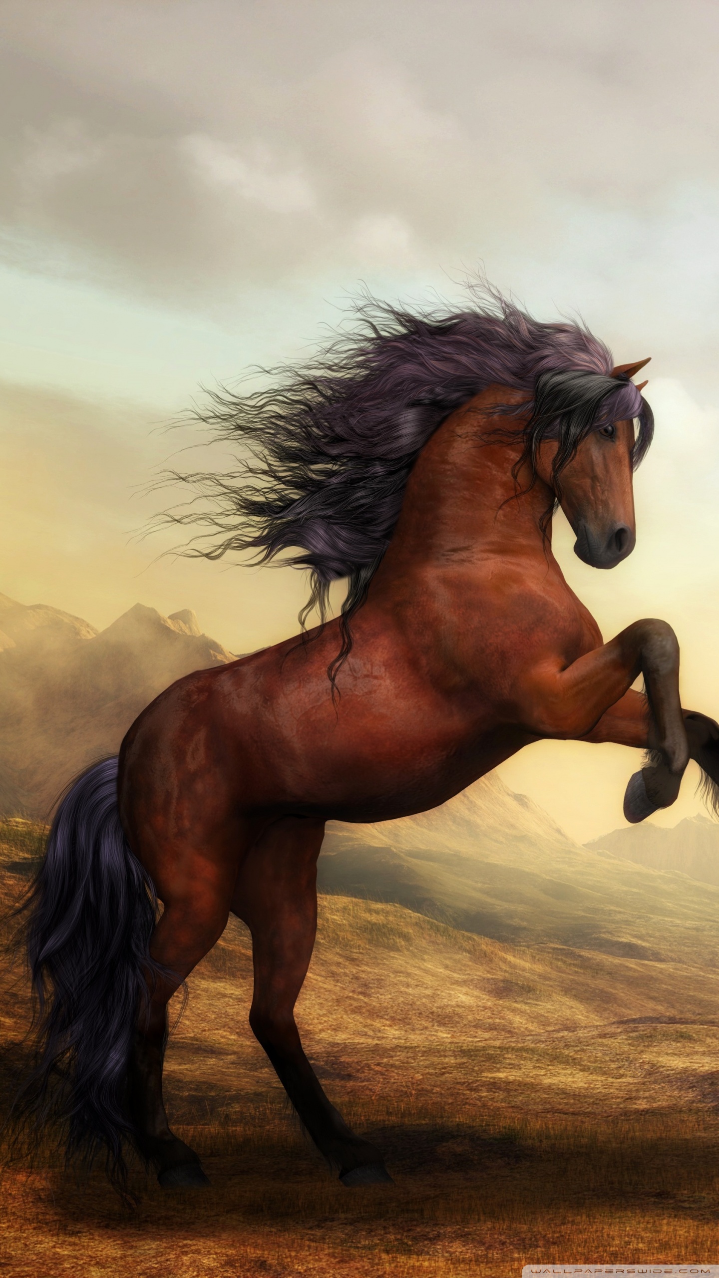 Two Beautiful Horses Fighting Ultra HD Desktop Background Wallpaper for 4K UHD TV, Widescreen & UltraWide Desktop & Laptop, Multi Display, Dual Monitor, Tablet