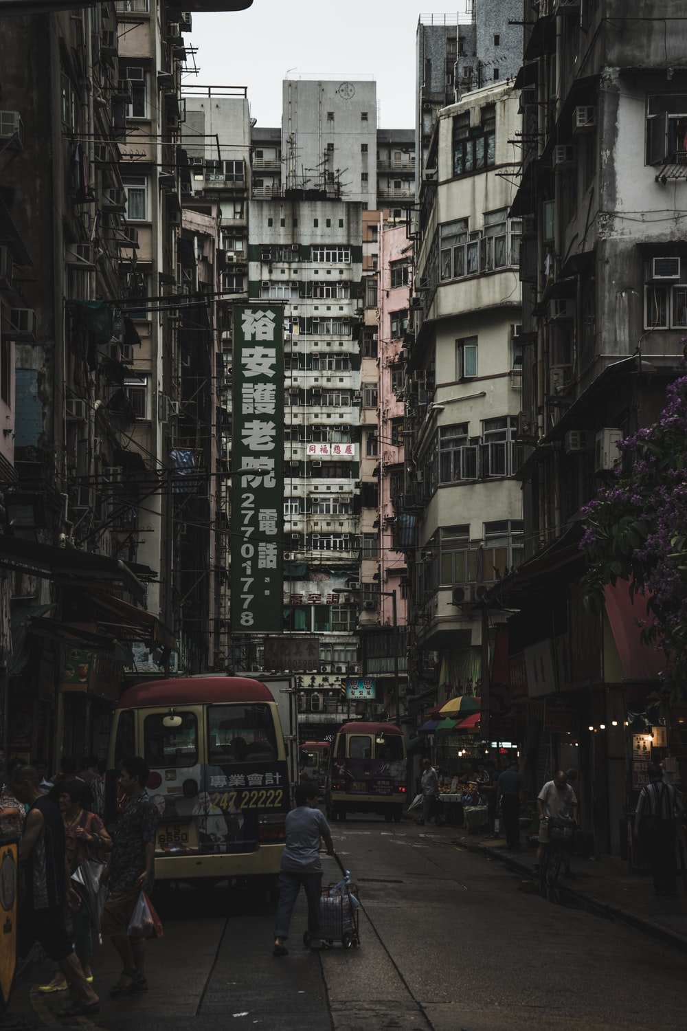 Kowloon Picture. Download Free Image