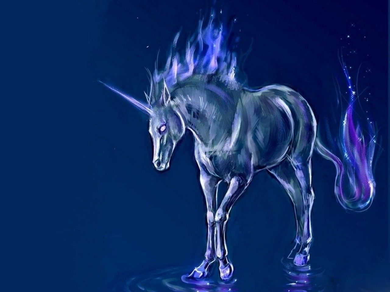 blue unicorn, 3D, blue, fantasy, unicorn 20341. Unicorn wallpaper, Unicorn picture, Unicorn fantasy