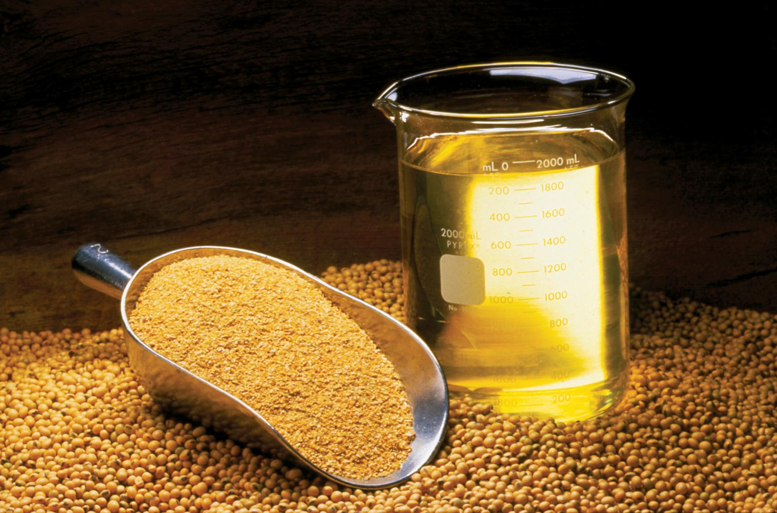 Soybean meal
