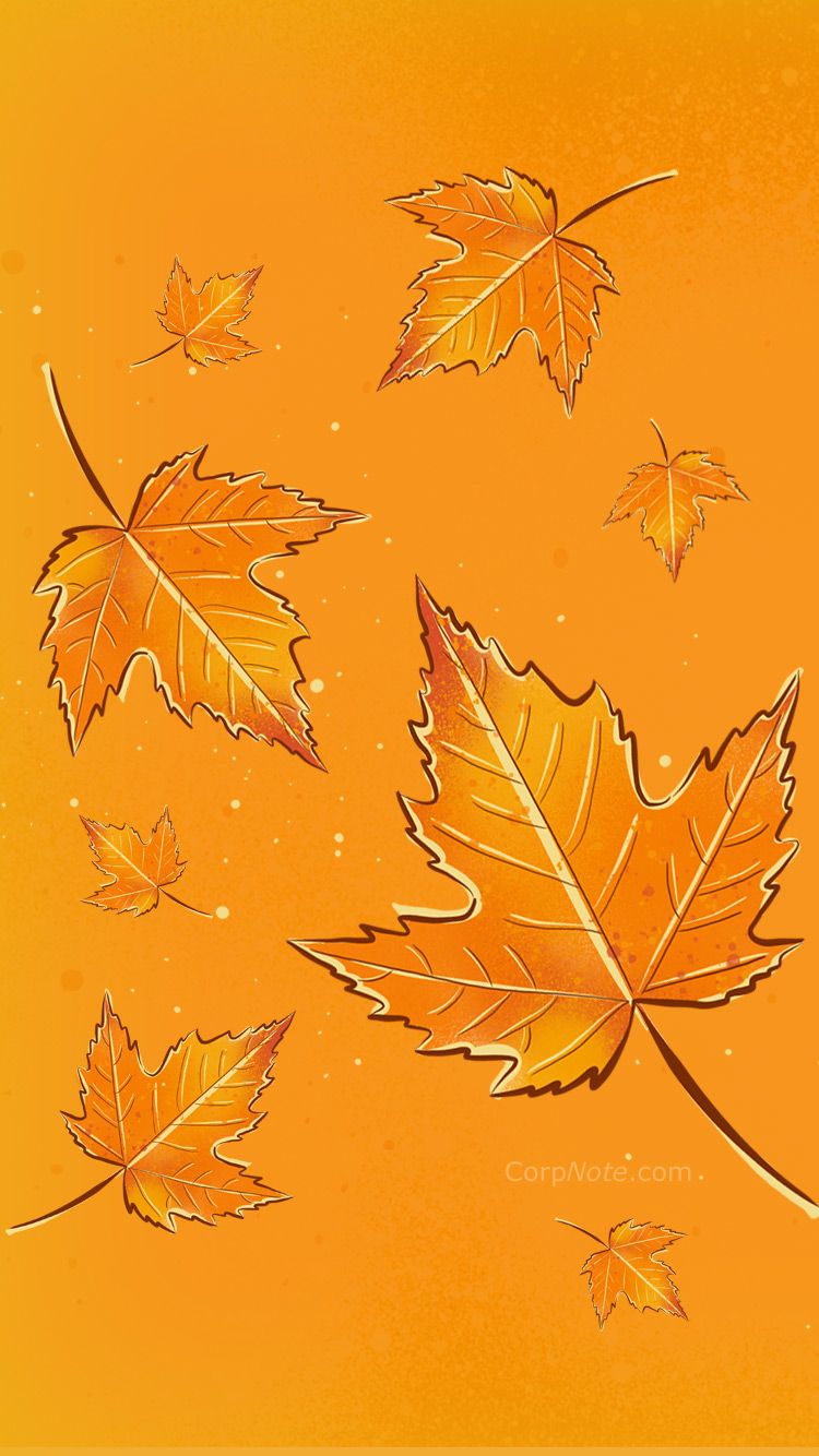 Thanksgiving Leaves Wallpaper