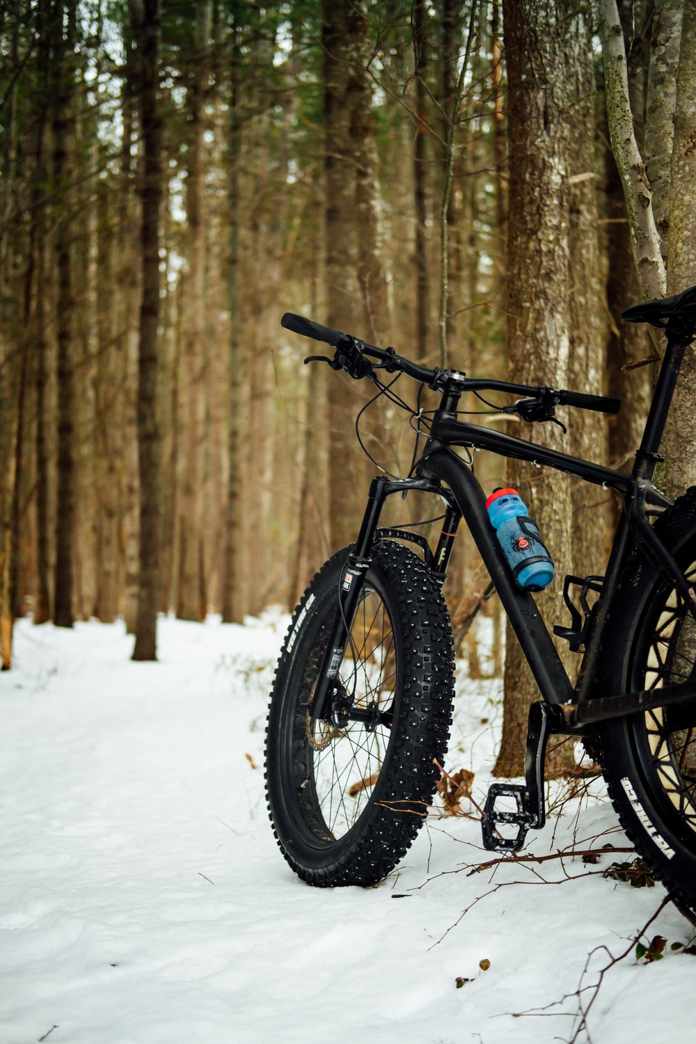 Fat Bike Picture. Download Free Image