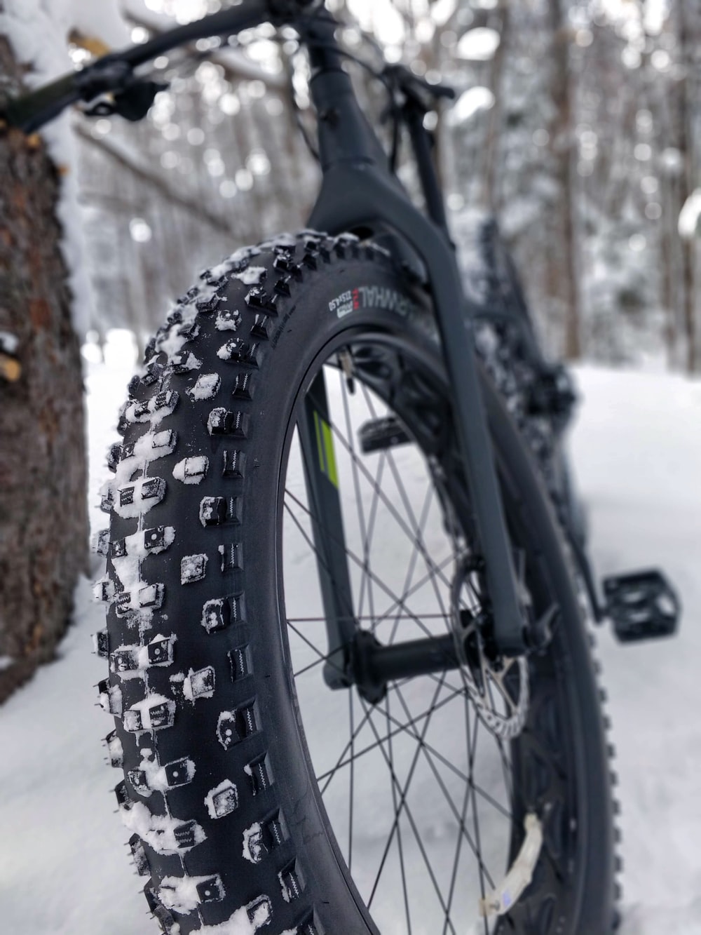 black hardtail bike leaning on tree with snow covered field photo