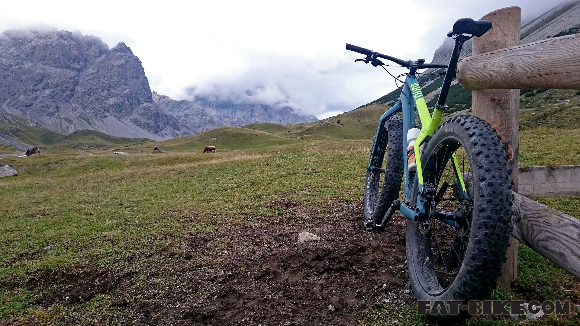 Fat Bike Wallpapers - Wallpaper Cave