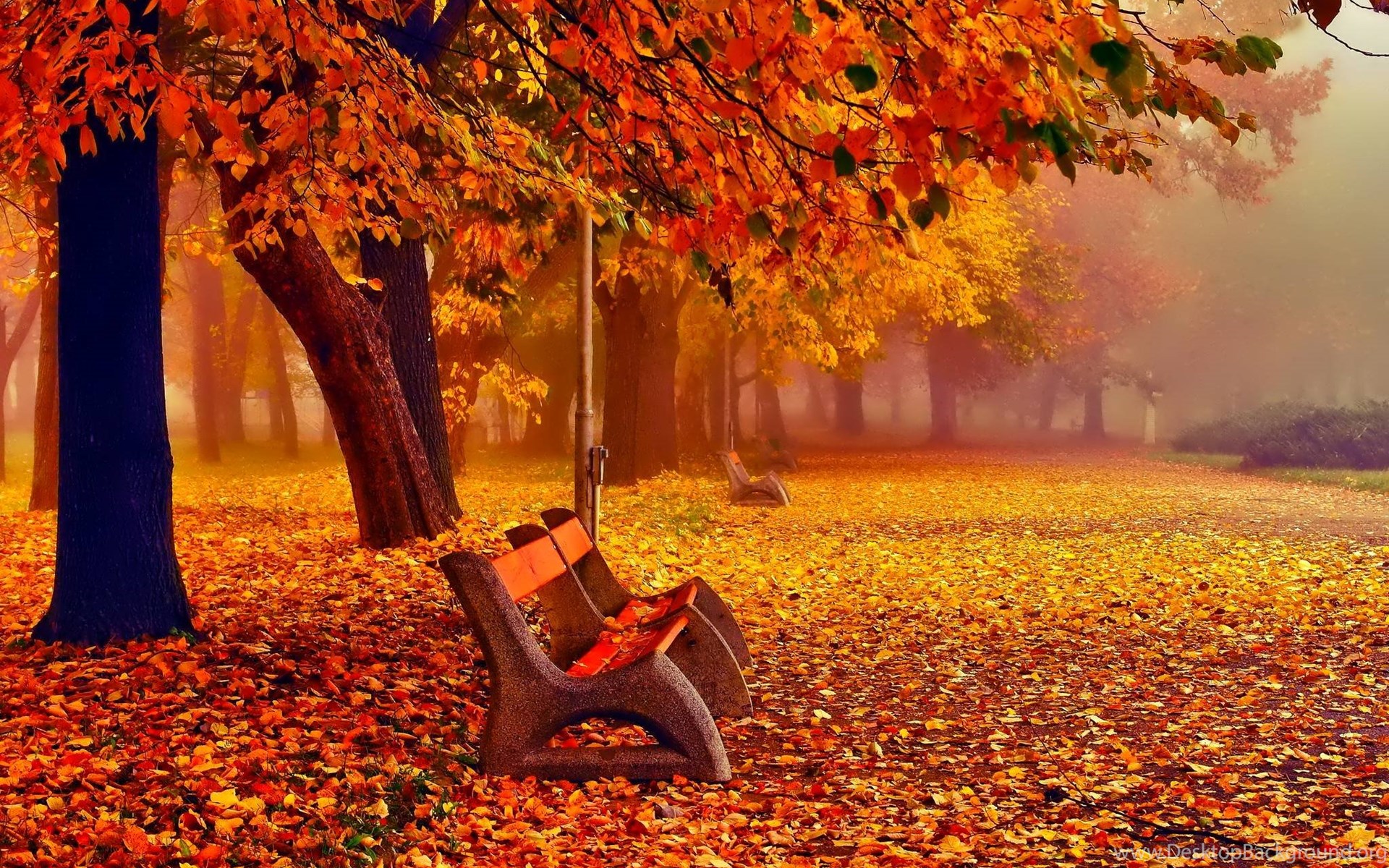 Autumn Fall Wallpaper November Desktop Background