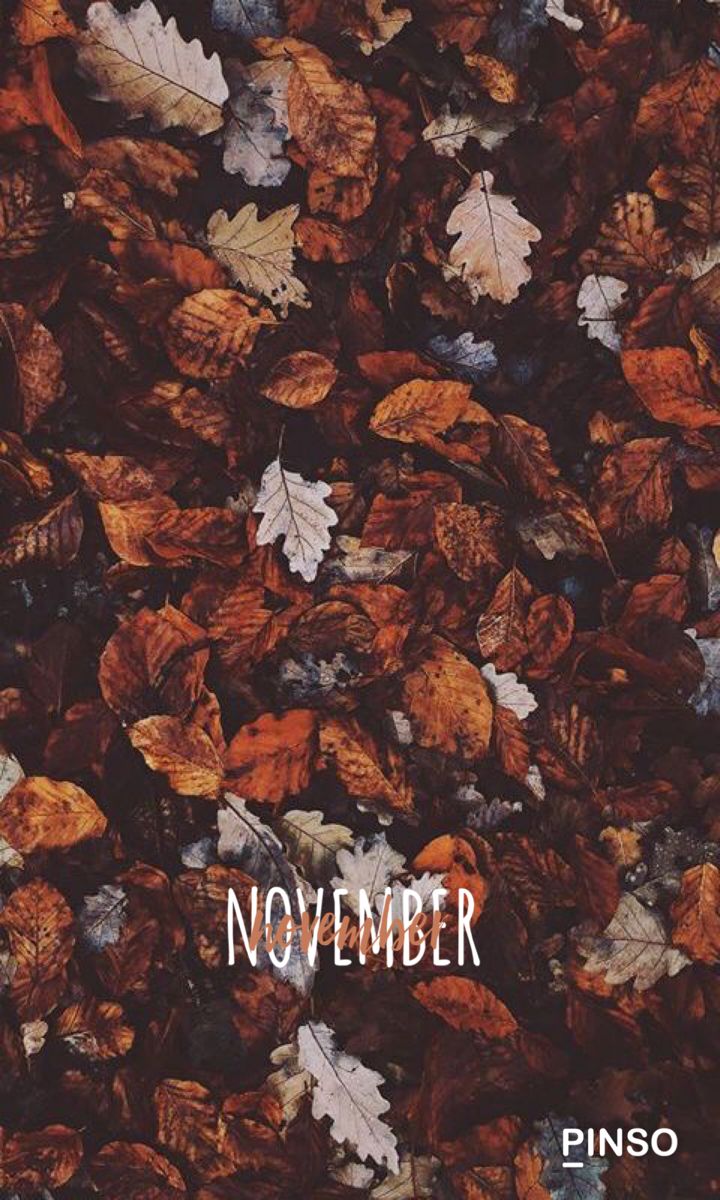 November background. Autumn leaves wallpaper, Cute fall wallpaper, November wallpaper