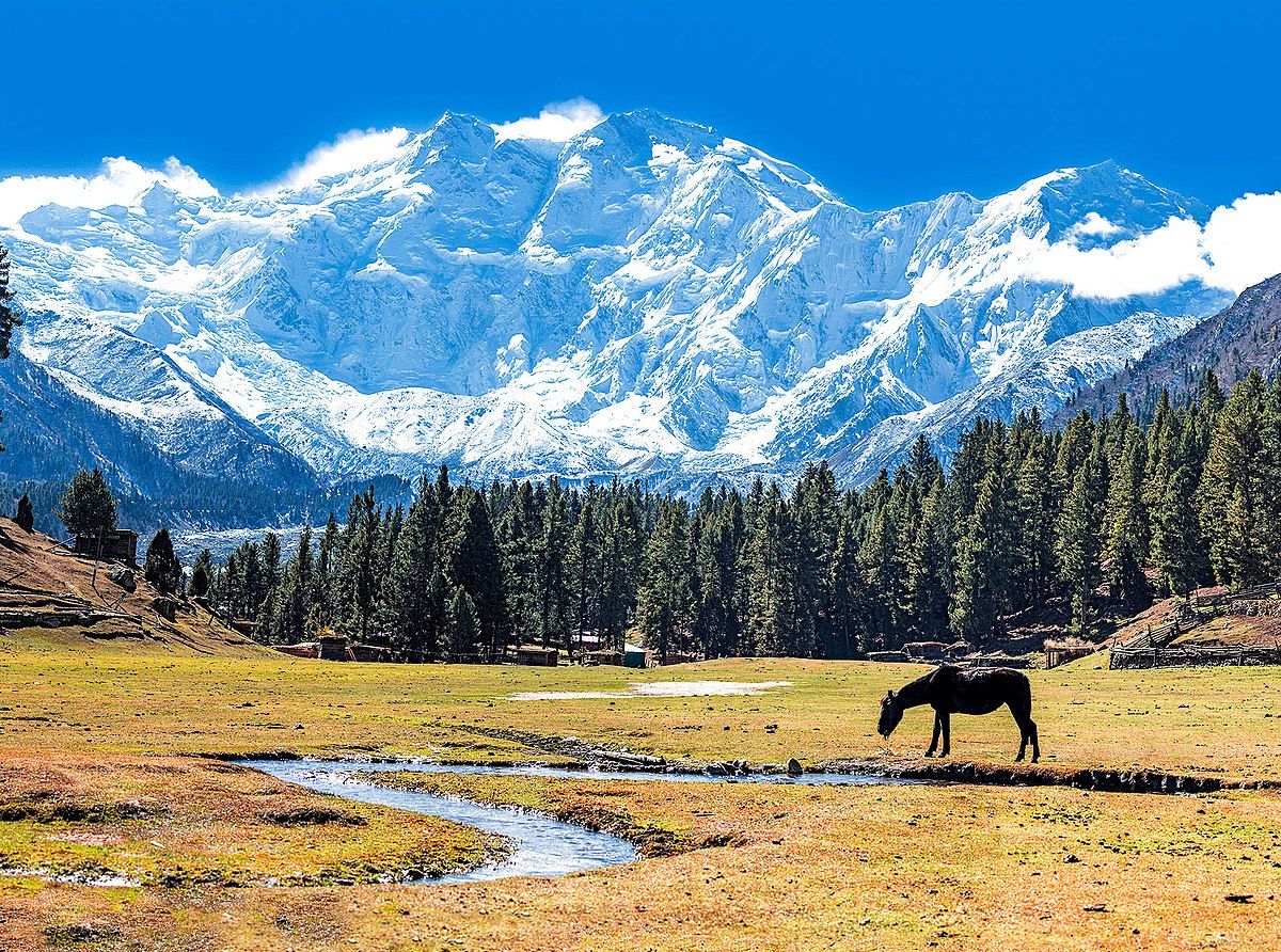 Fairy Meadows and the view of Nanga Parbat Parbat. Nanga parbat, Northern pakistan, Mountains