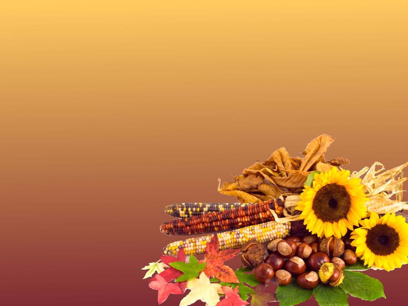 Thanksgiving Floral Wallpaper