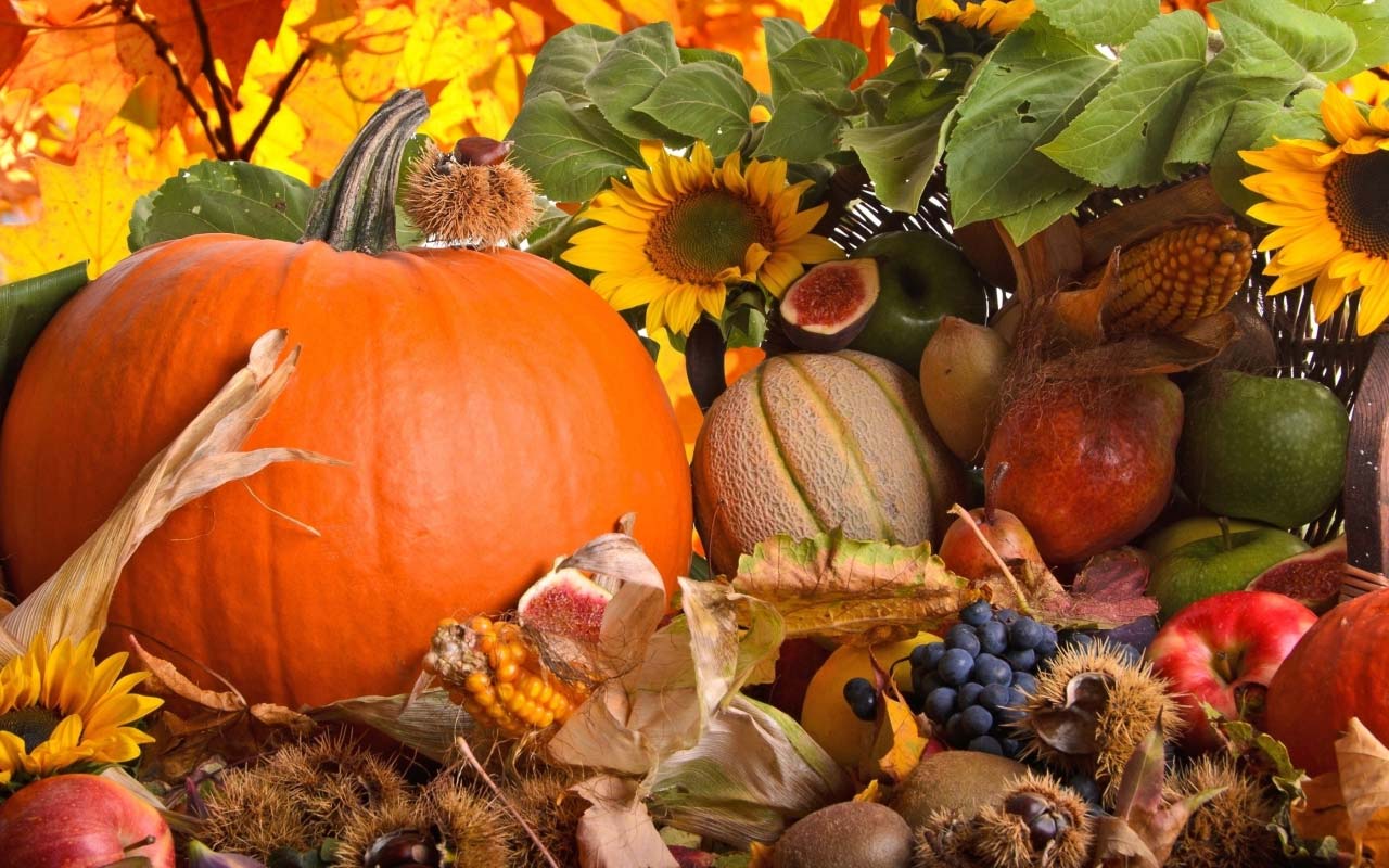 Free Thanksgiving Background Image