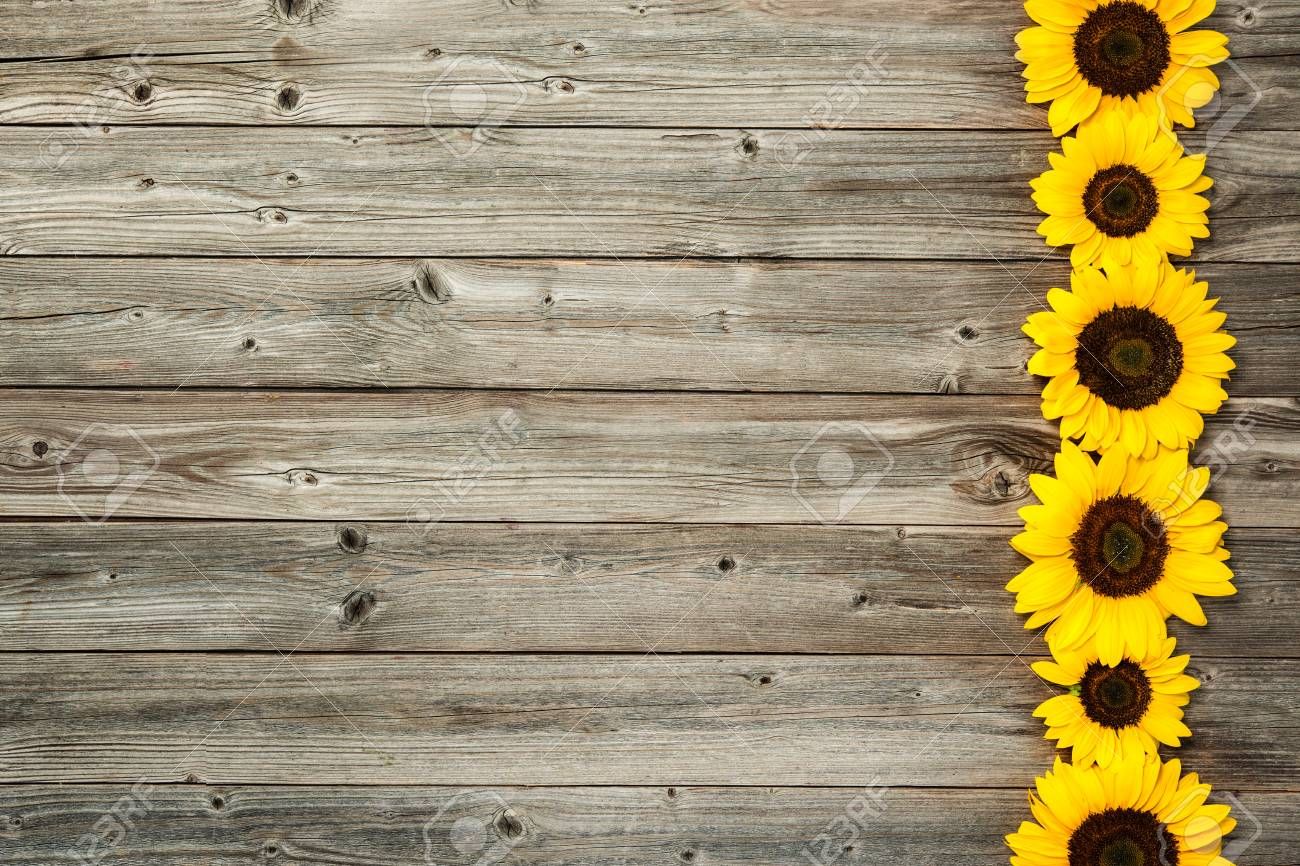 Background ideas. sunflower wallpaper, wallpaper background, sunflowers background
