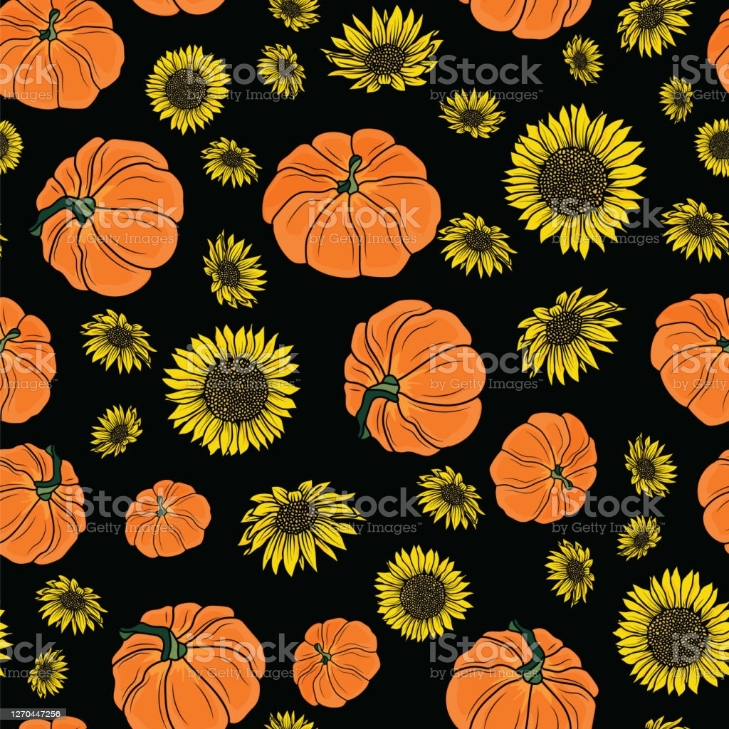 Thanksgiving Doodle Pumpkins Sunflower Seamless Pattern Background Design Stock Illustration Image Now