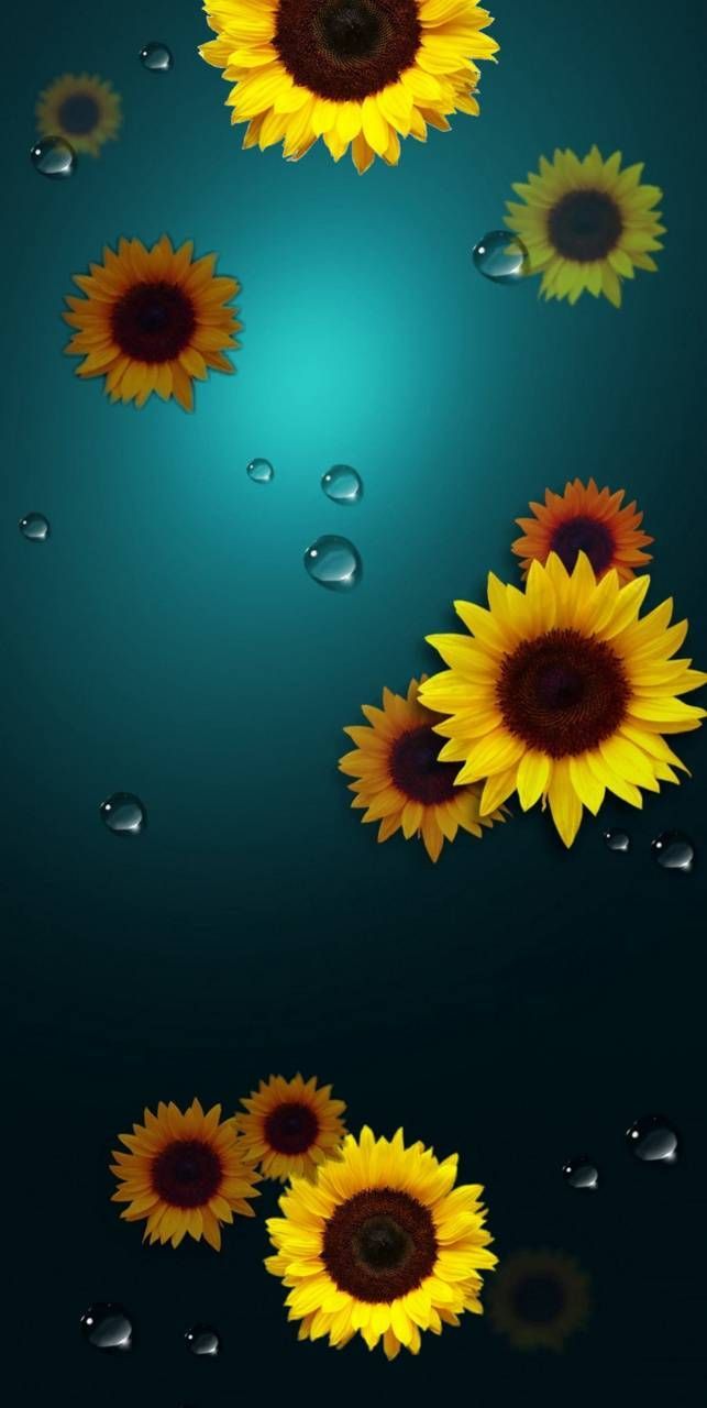 Nota 10 di semi di girasole carta da parati Tandi04 ™. Flower background wallpaper, Sunflower wallpaper, HD nature wallpaper