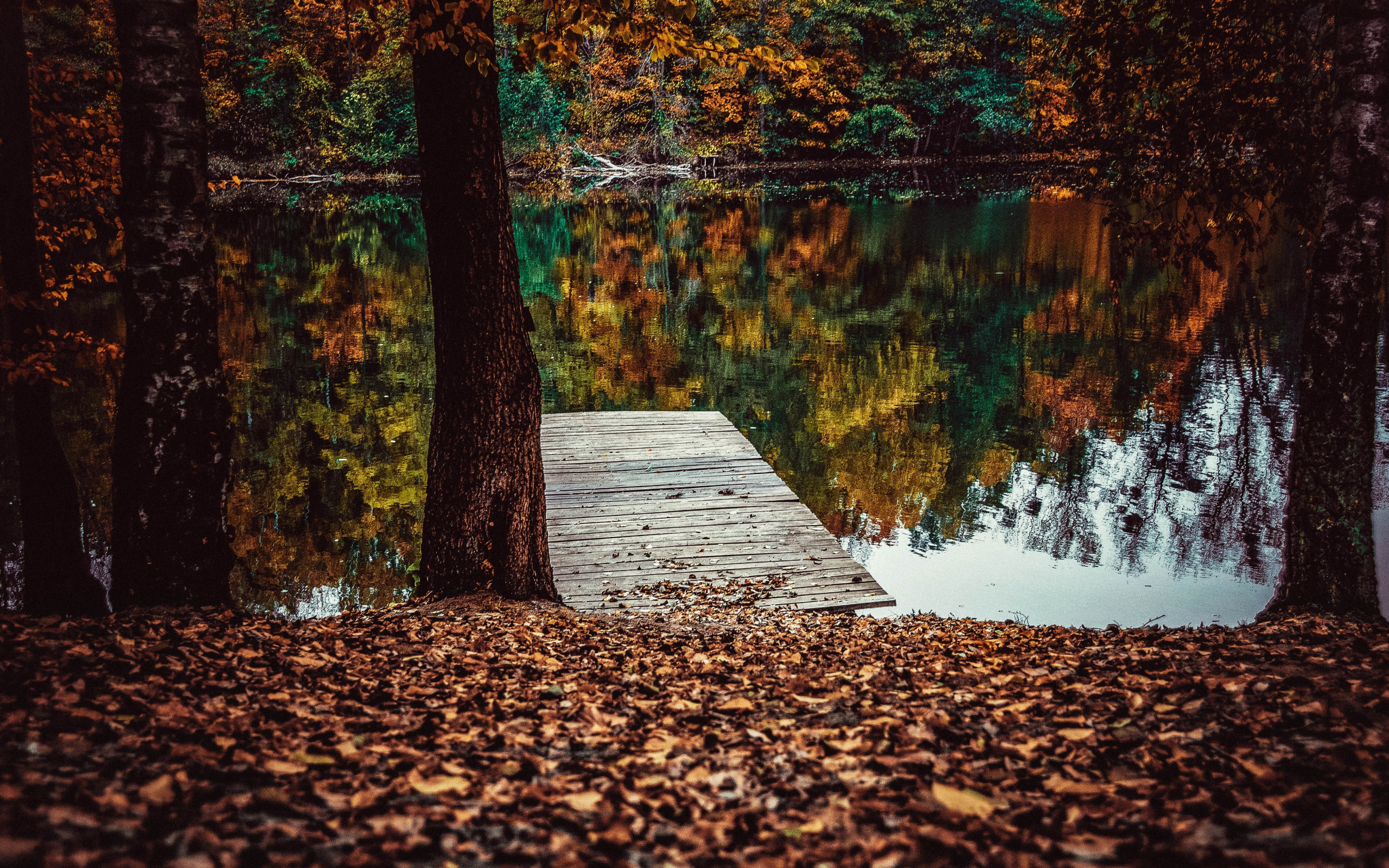 Download 2560x1600 wallpaper pier, lake, fall, leaves, autumn, lake, reflections, dual wide, widescreen 16: widescreen, 2560x1600 HD image, background, 15753